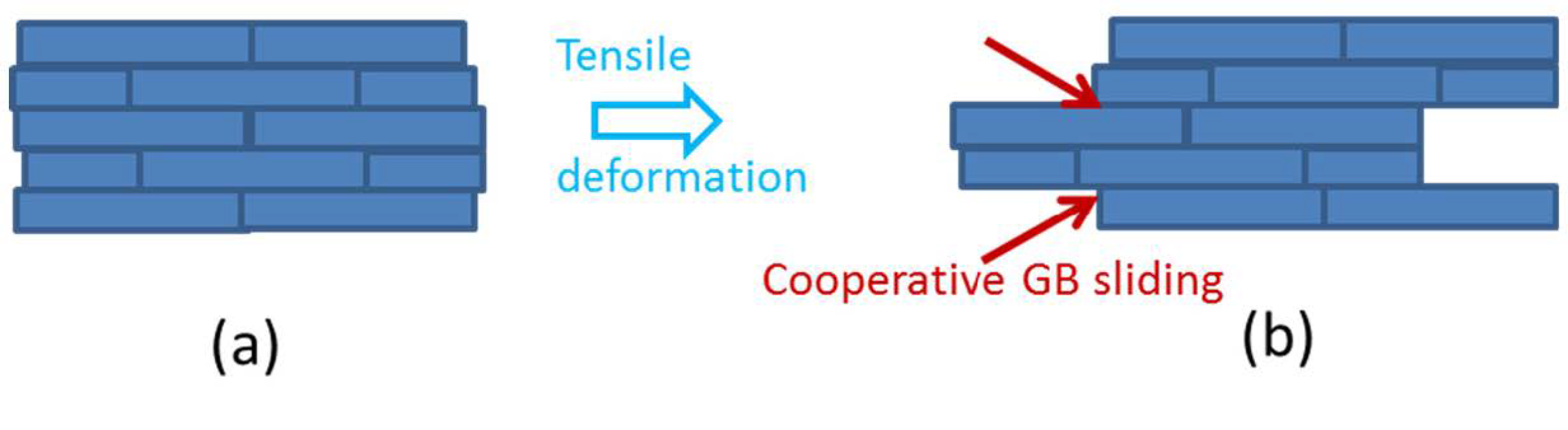 Nanomaterials 11 00574 g014