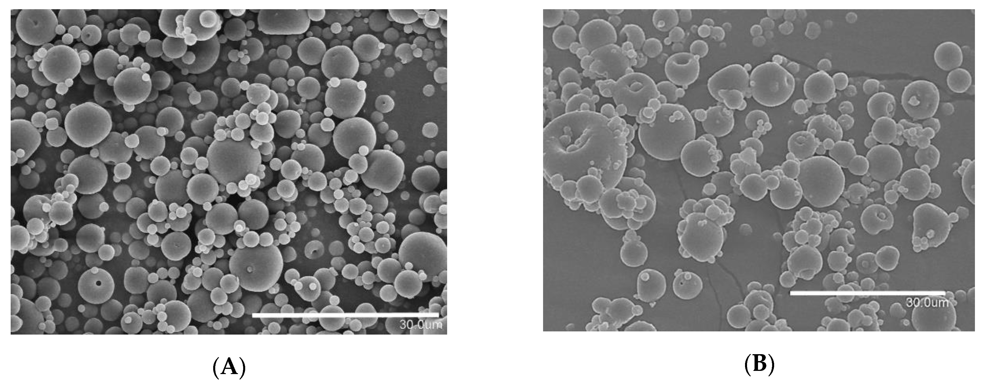 Nanomaterials 11 00575 g001 Nanomaterials 11 00575 g001