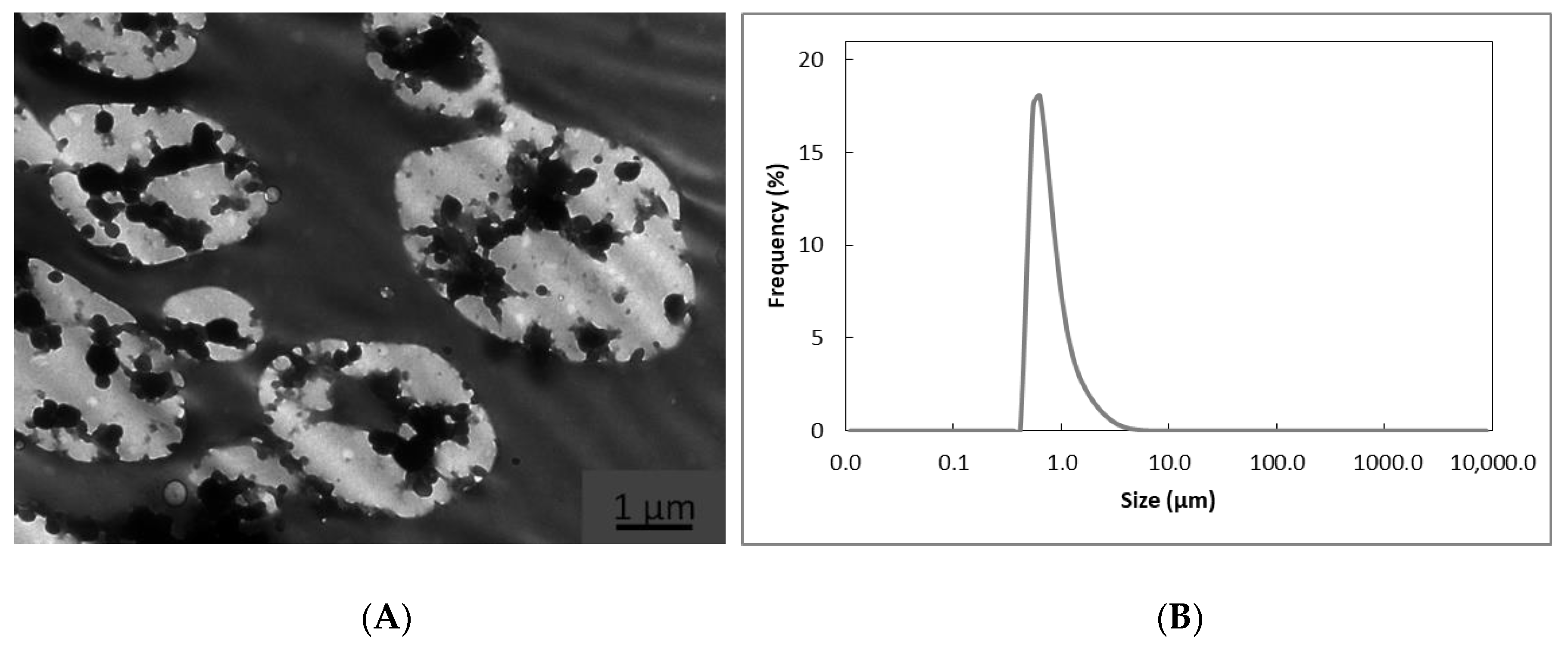 Nanomaterials 11 00575 g002 Nanomaterials 11 00575 g002