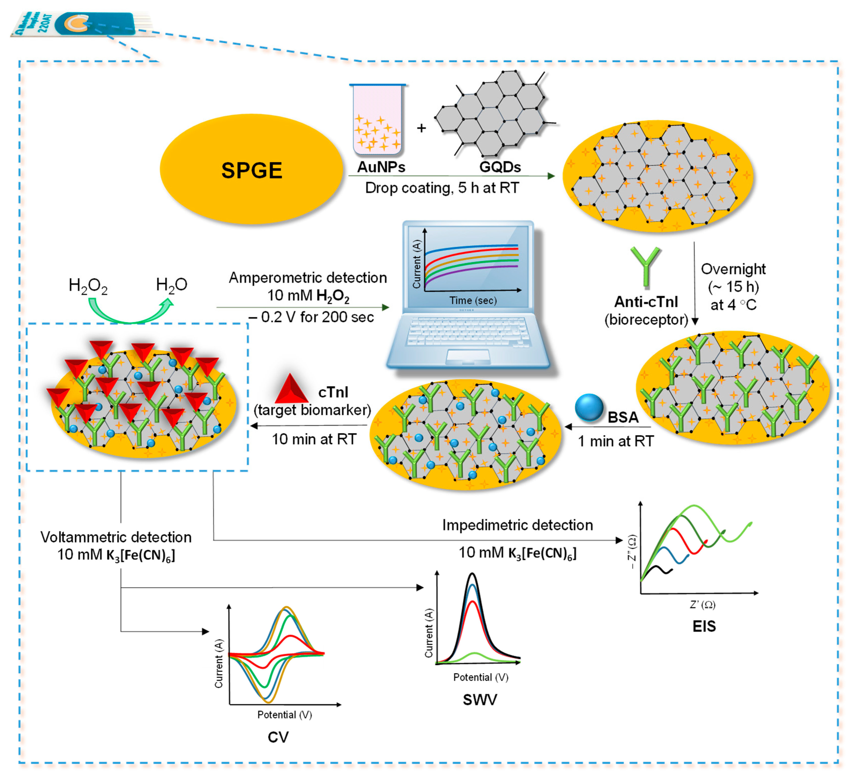 Nanomaterials 11 00578 g001