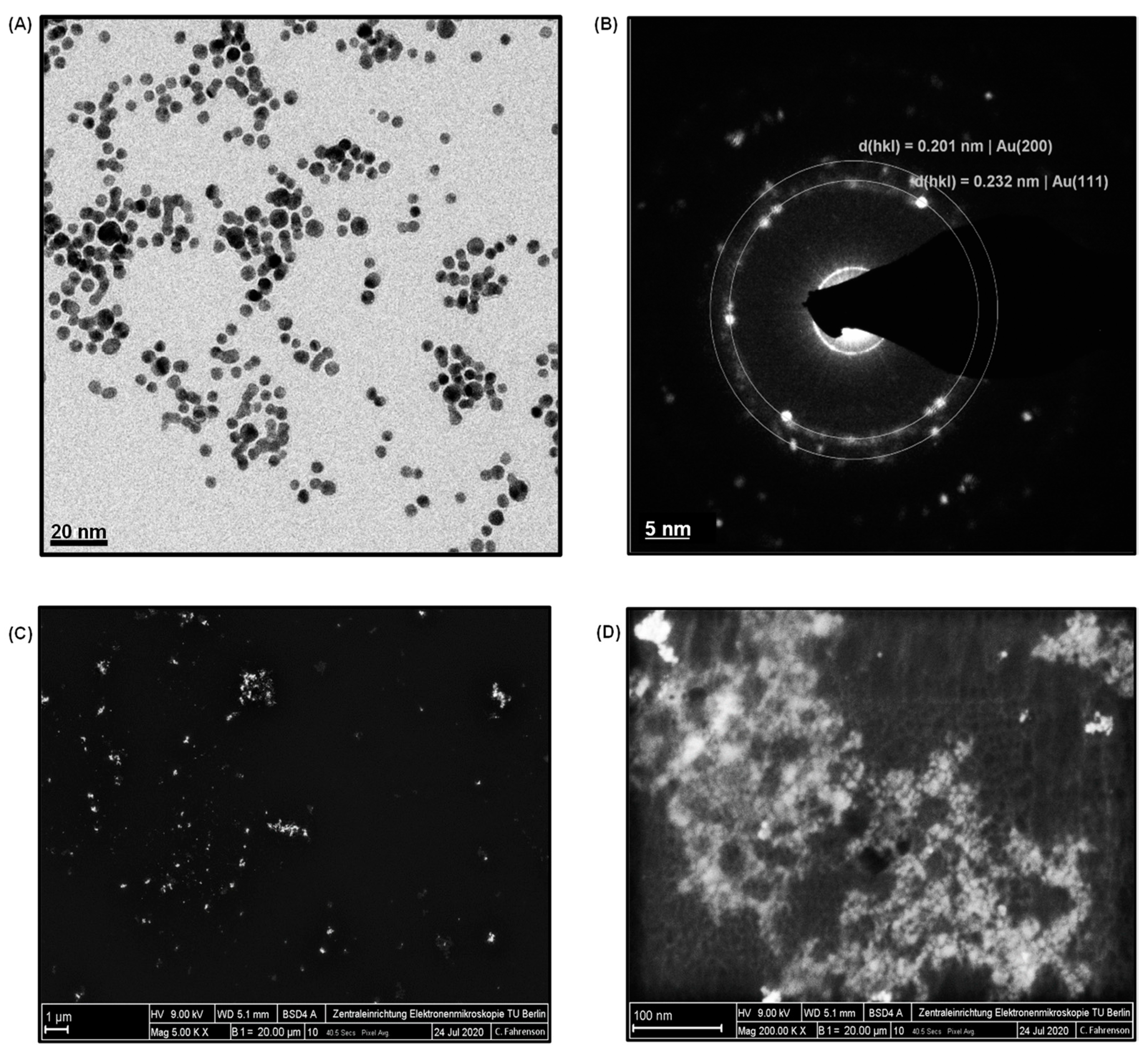 Nanomaterials 11 00578 g002