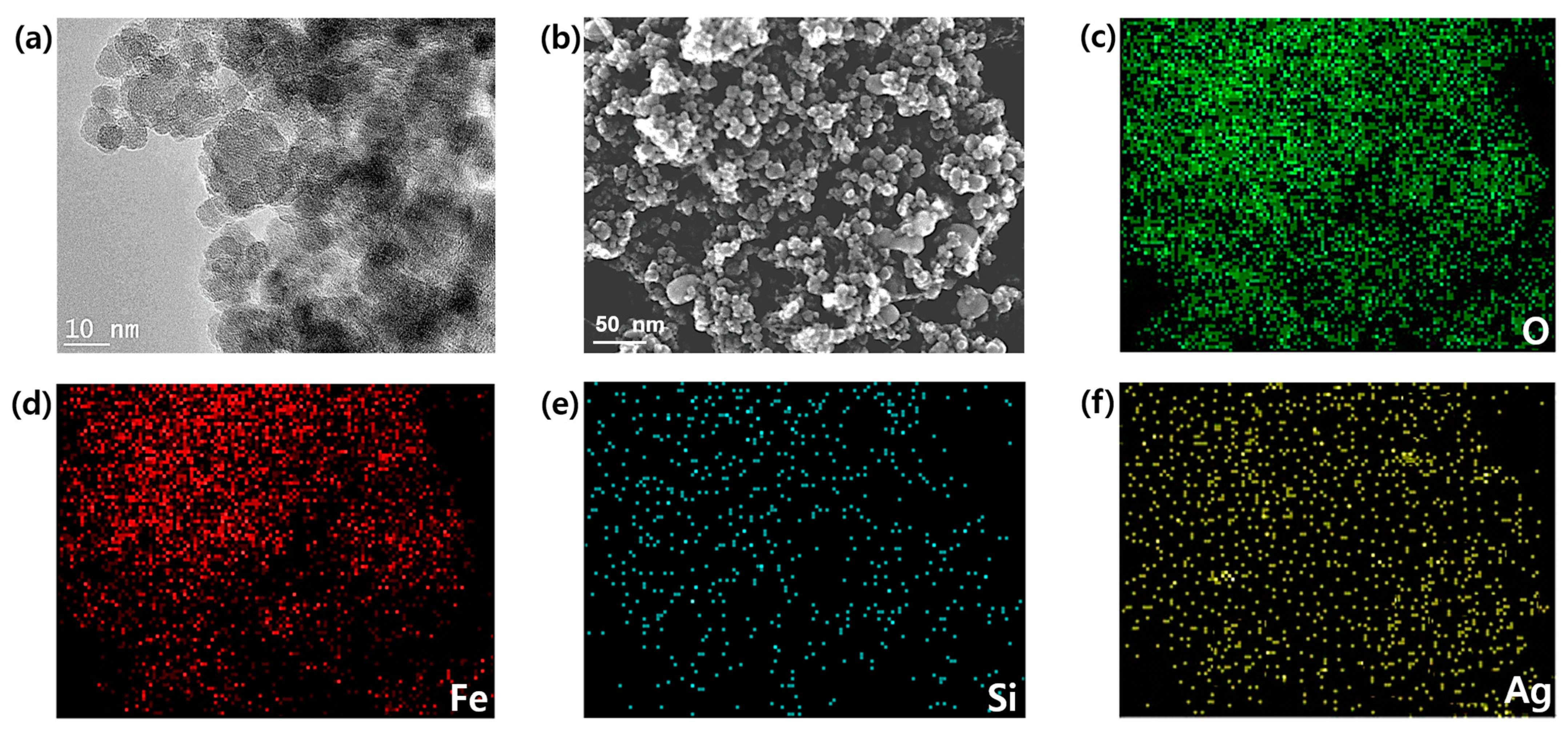 Nanomaterials 11 00588 g002 Nanomaterials 11 00588 g002