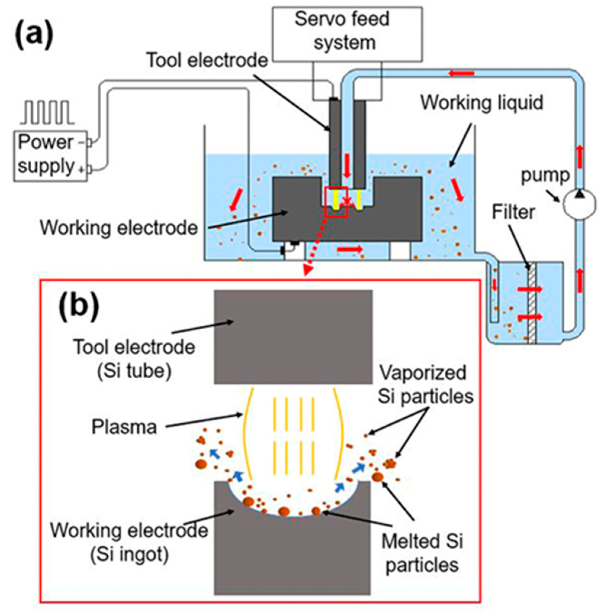 Nanomaterials 11 00594 g001