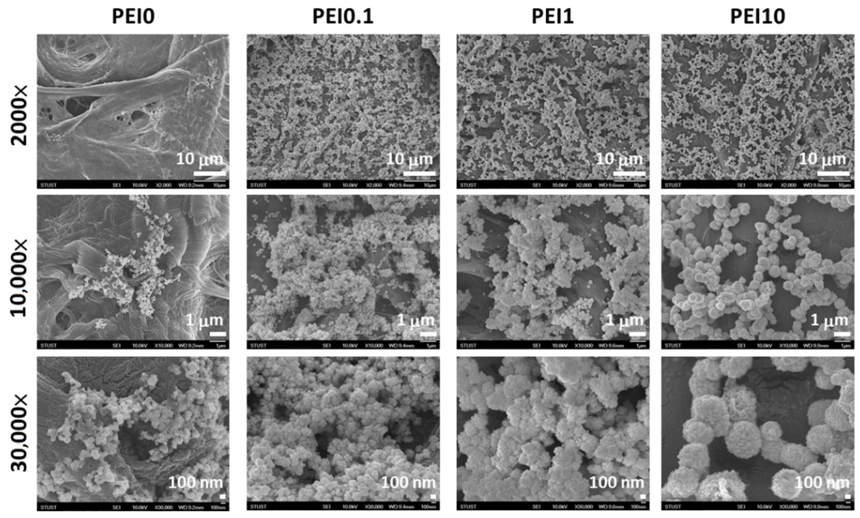 Nanomaterials 11 00595 g002