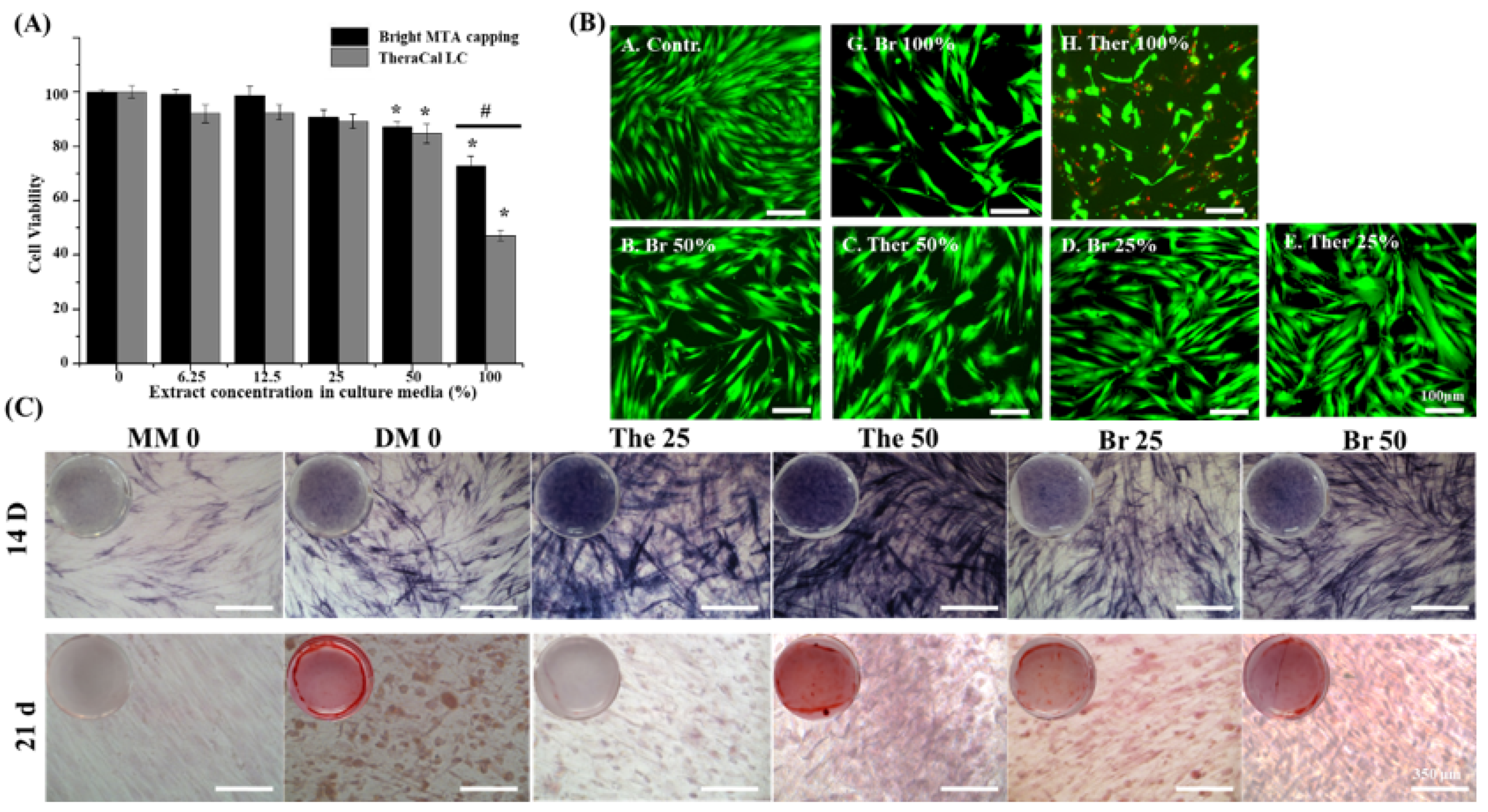 Nanomaterials 11 00596 g005