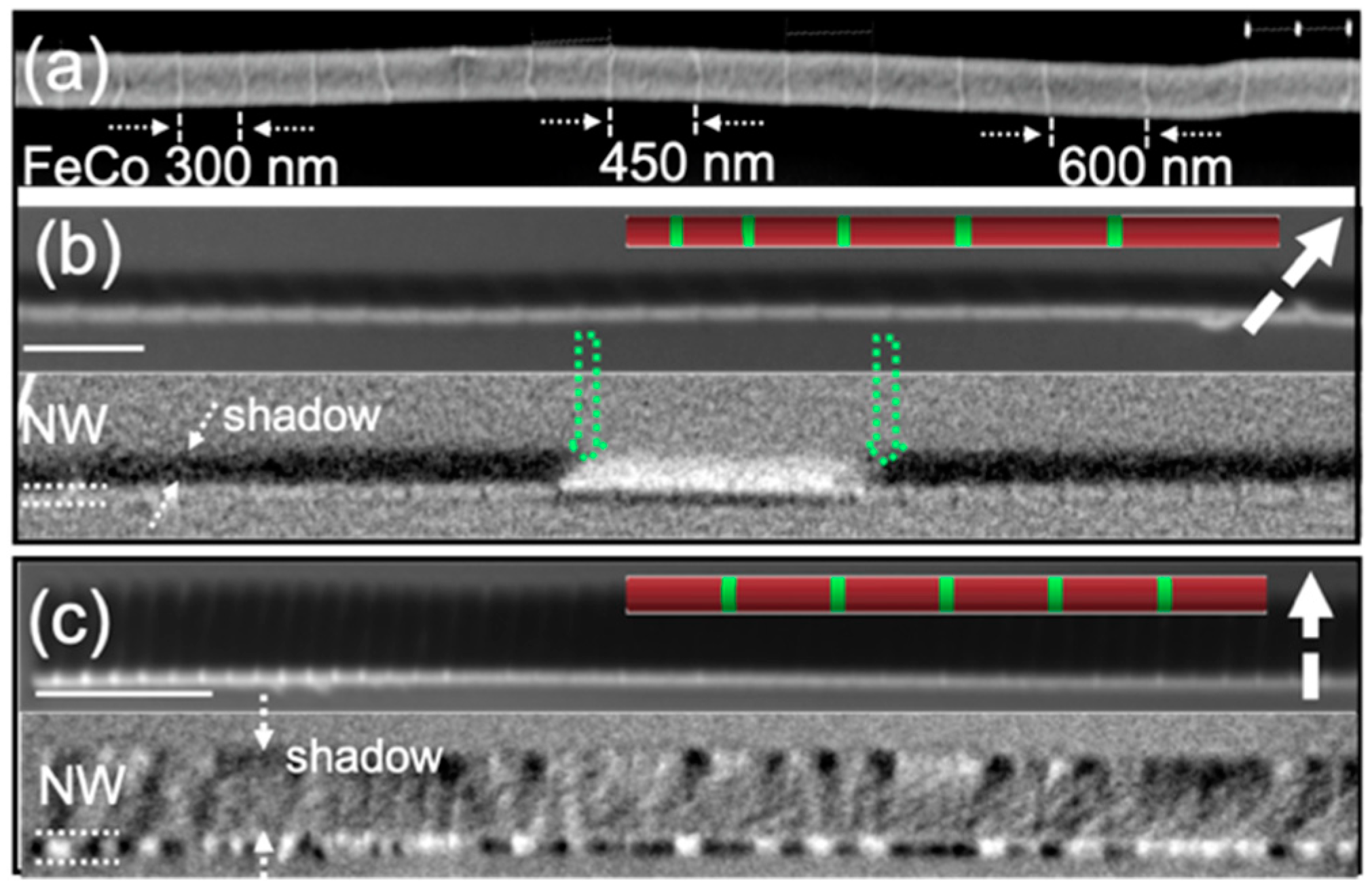 Nanomaterials 11 00600 g011 Nanomaterials 11 00600 g011