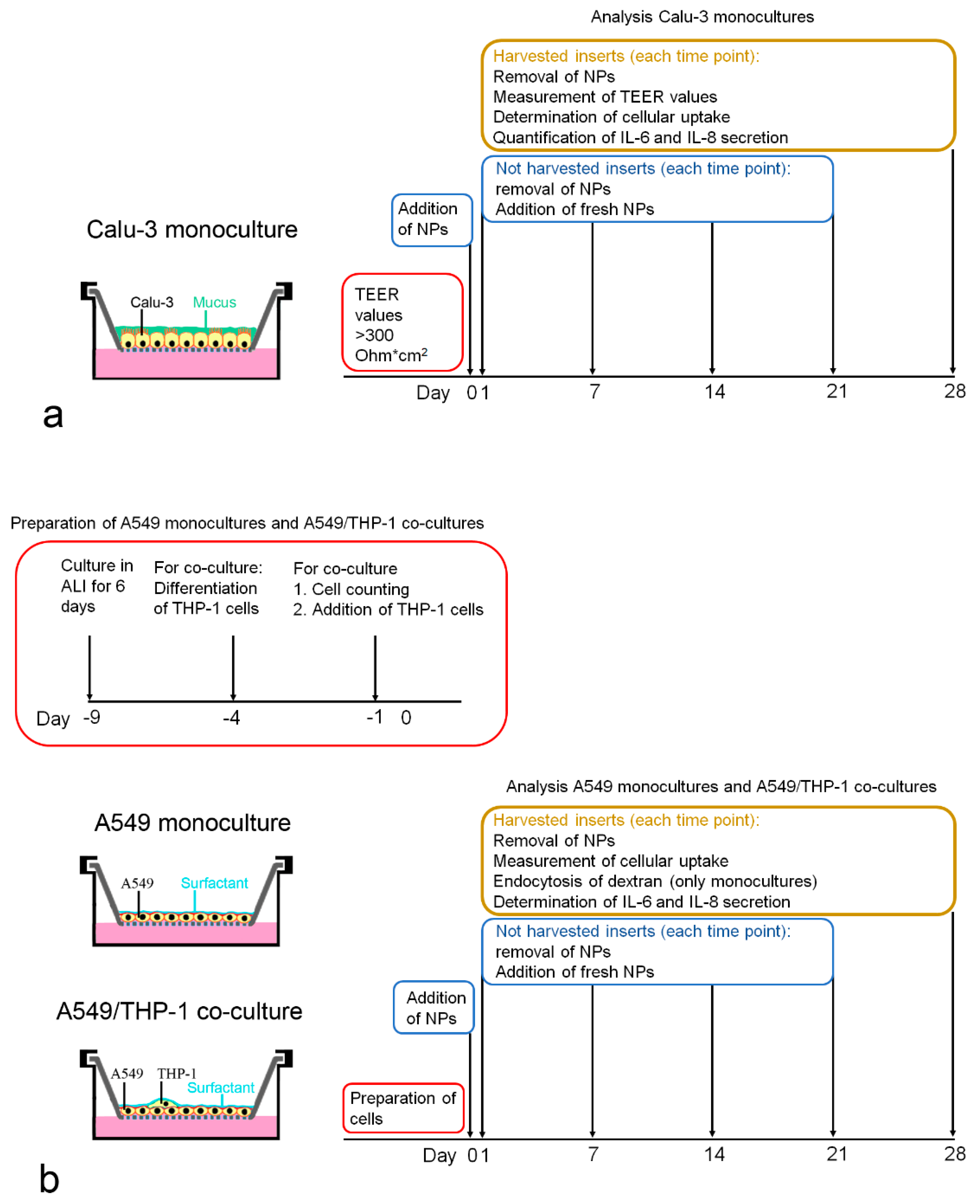 Nanomaterials 11 00606 g001