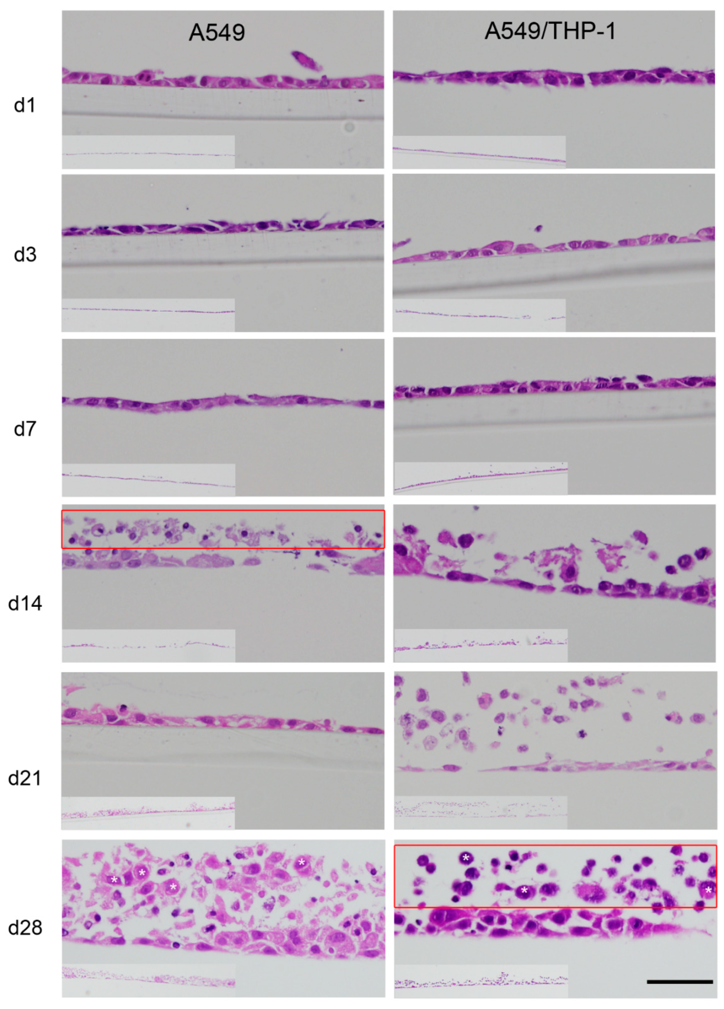 Nanomaterials 11 00606 g004