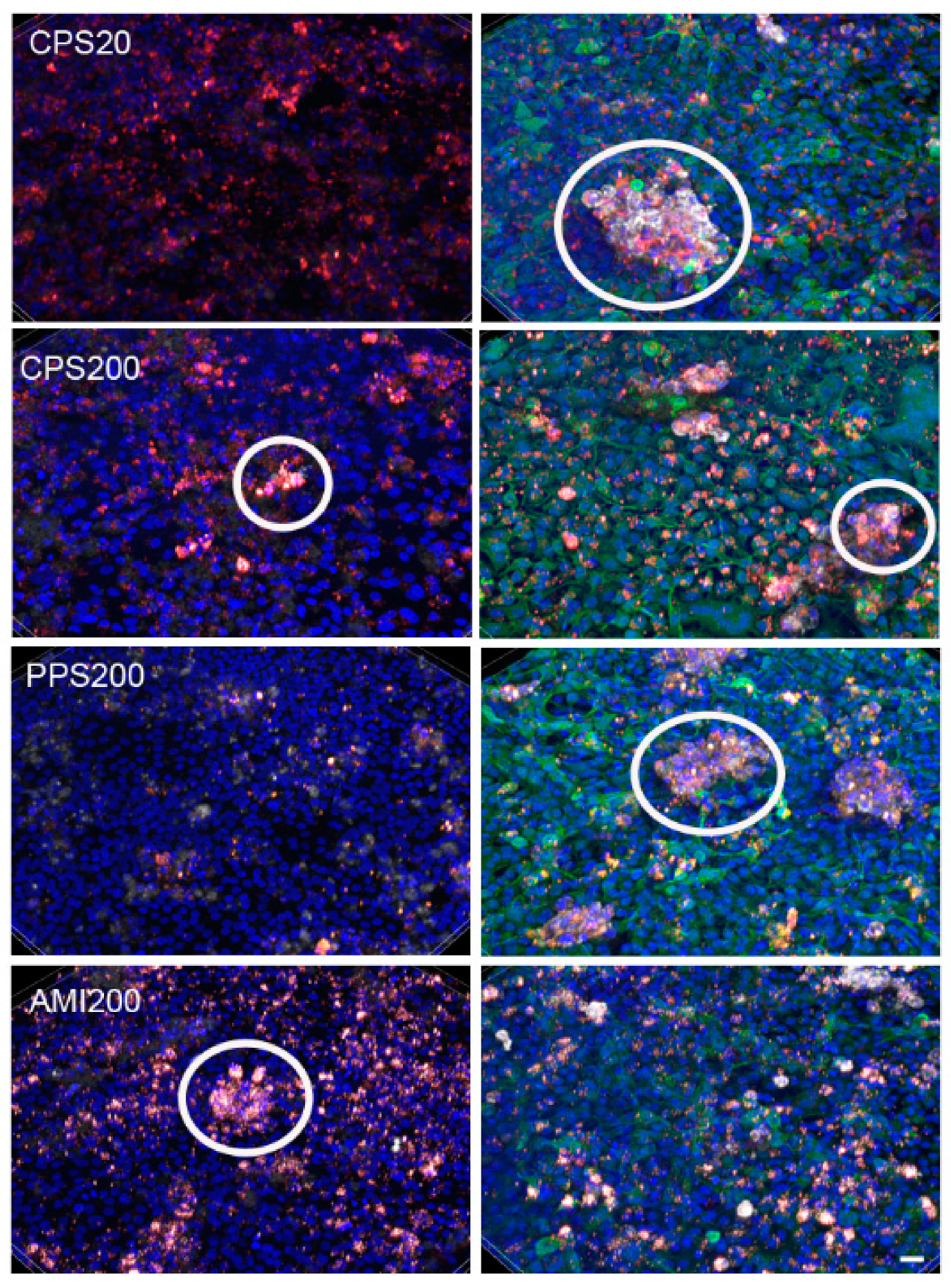 Nanomaterials 11 00606 g009