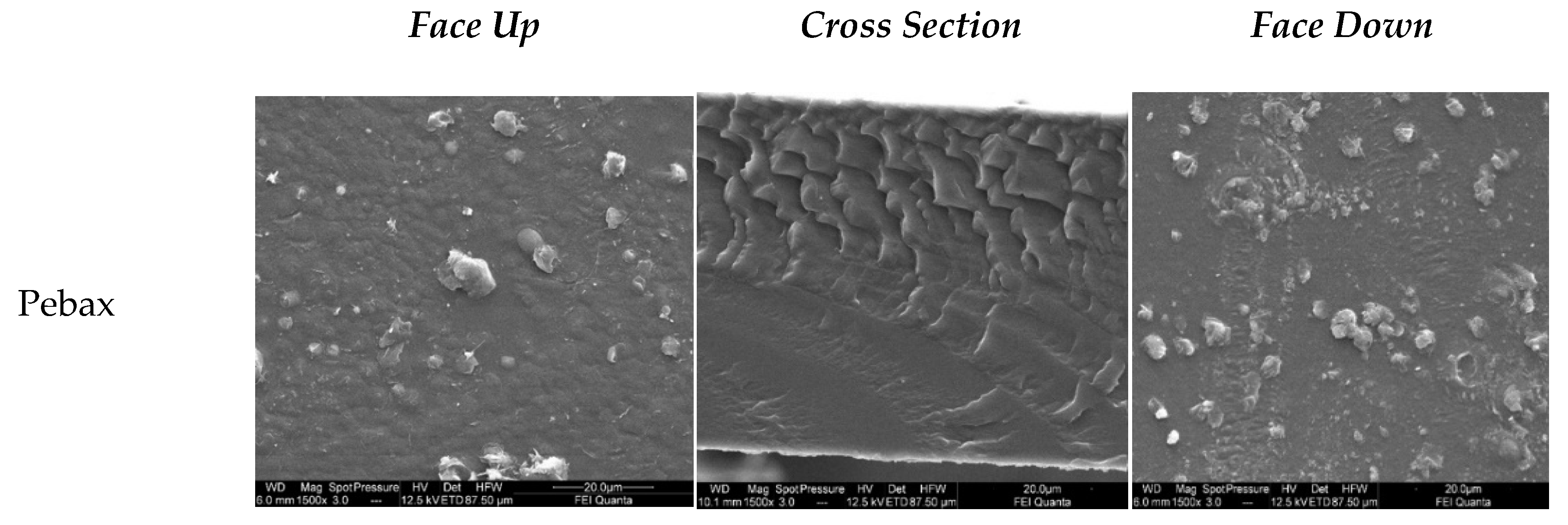 Nanomaterials 11 00607 g007a