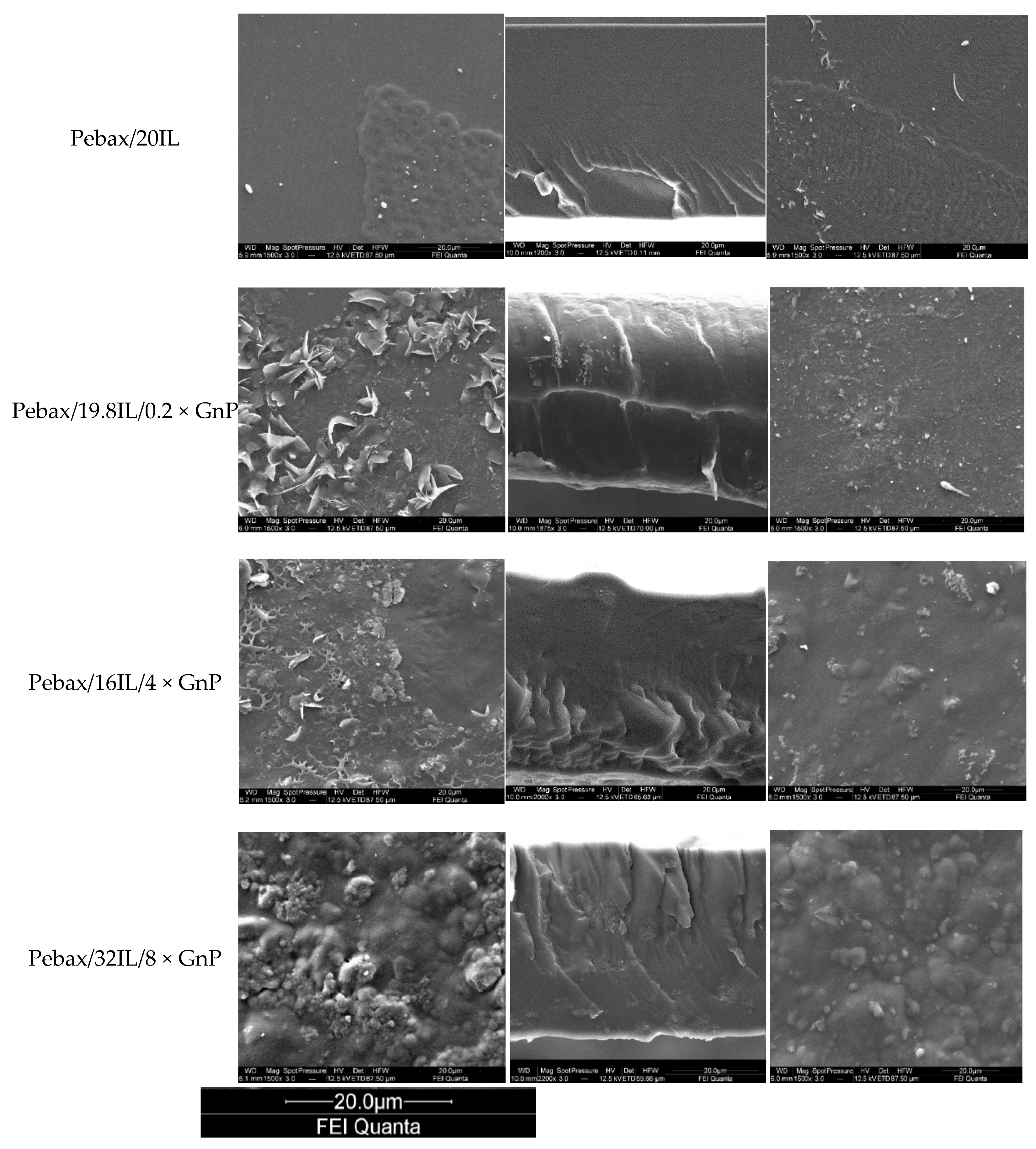 Nanomaterials 11 00607 g007b