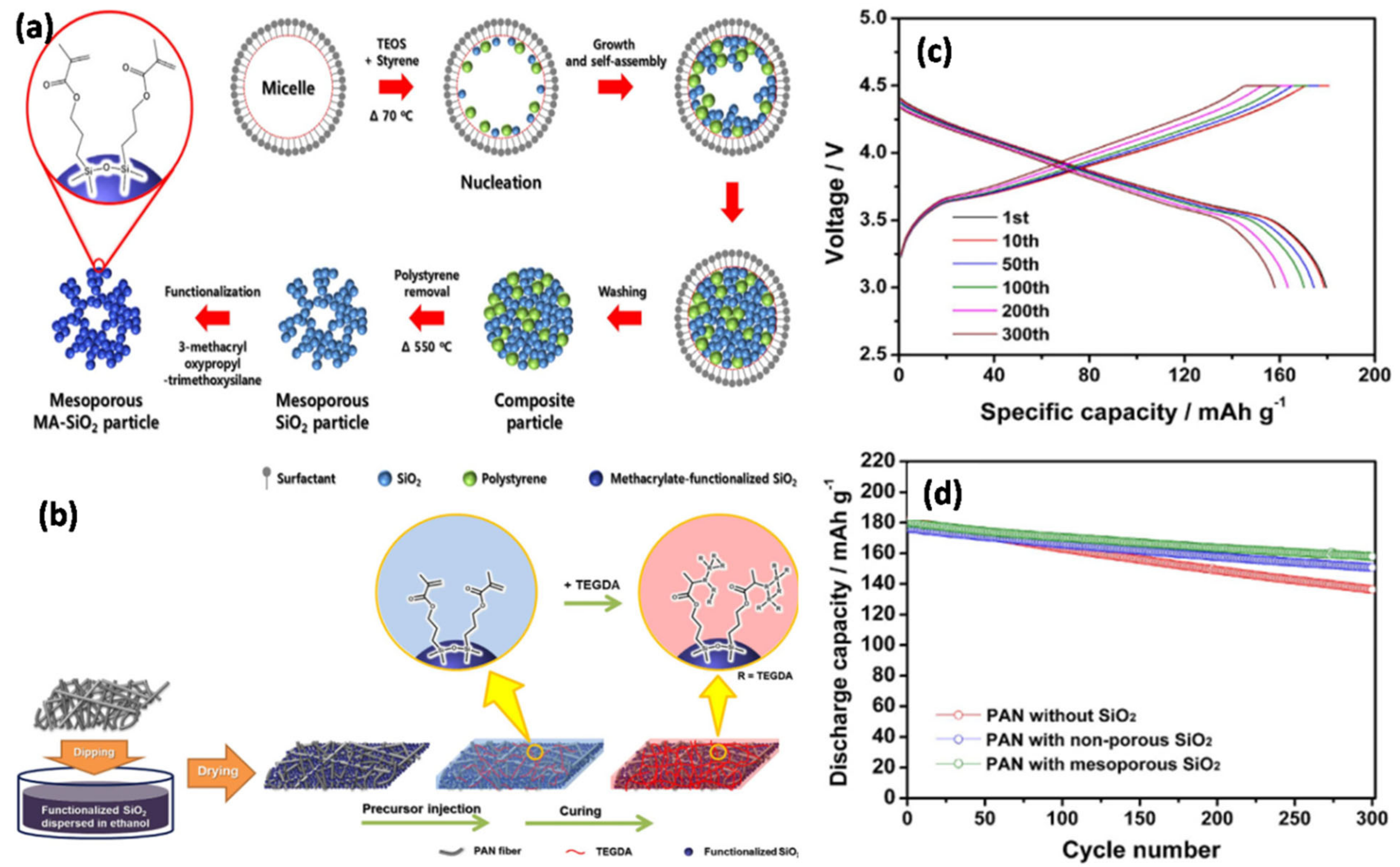 Nanomaterials 11 00614 g015