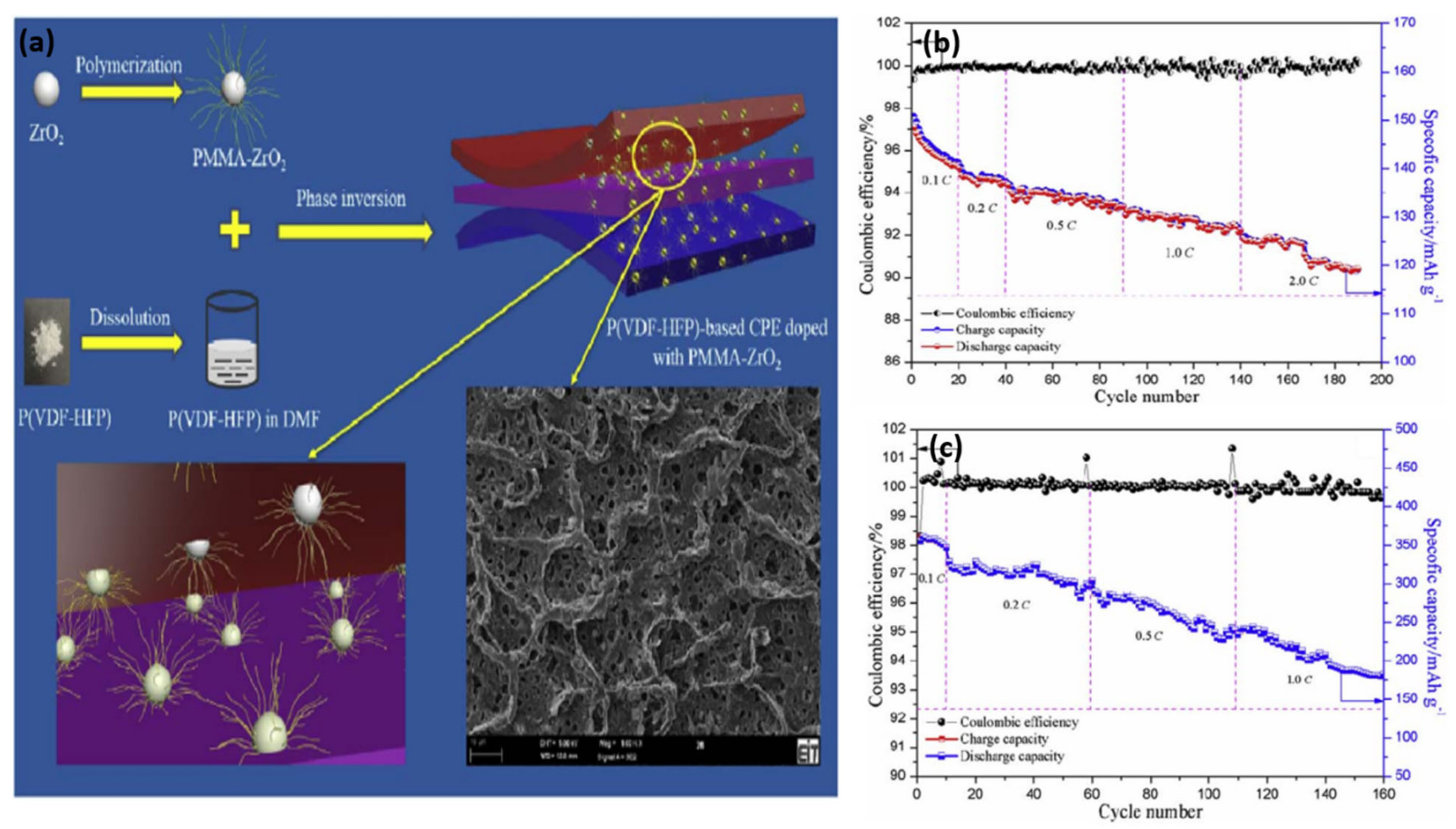 Nanomaterials 11 00614 g016