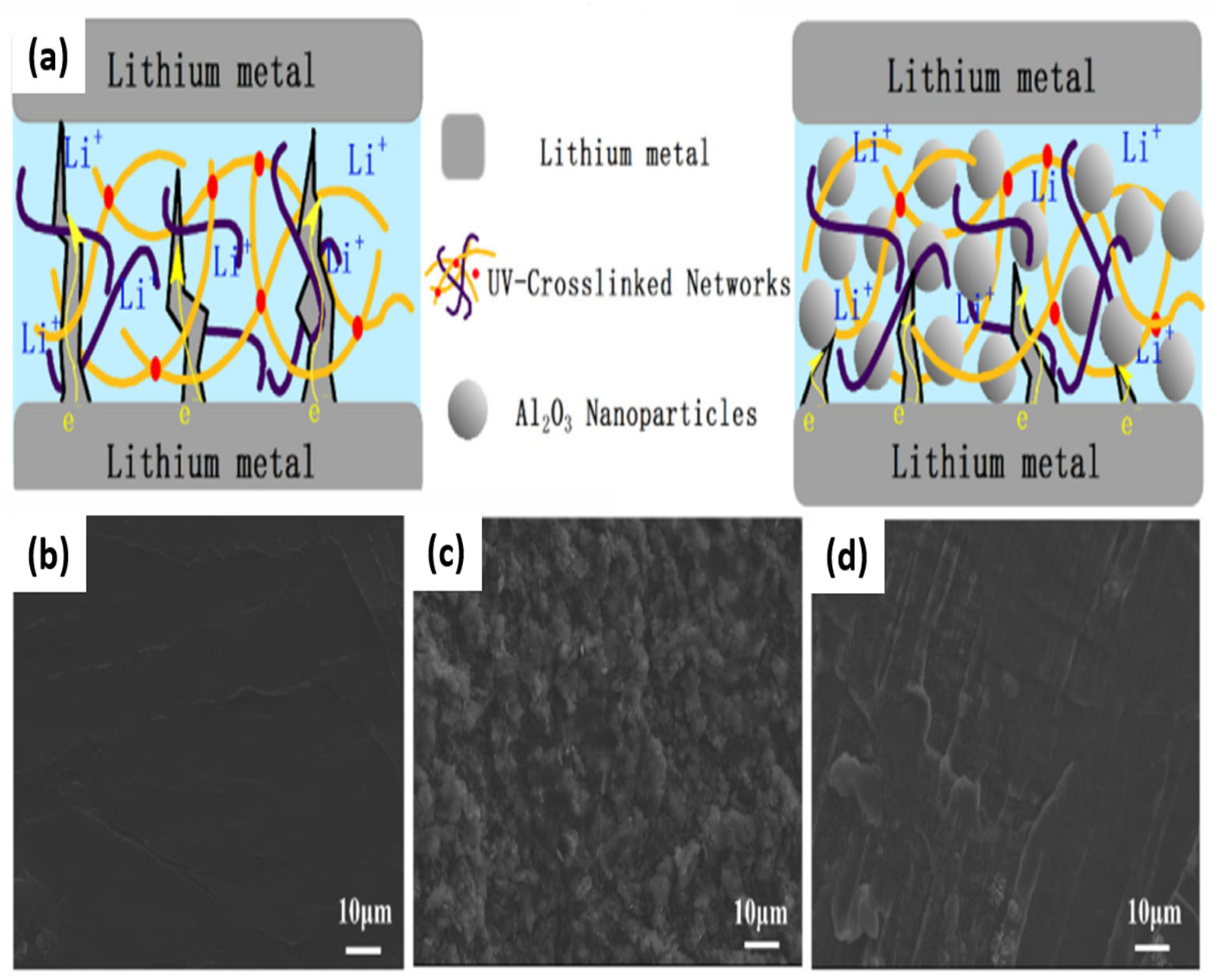 Nanomaterials 11 00614 g018
