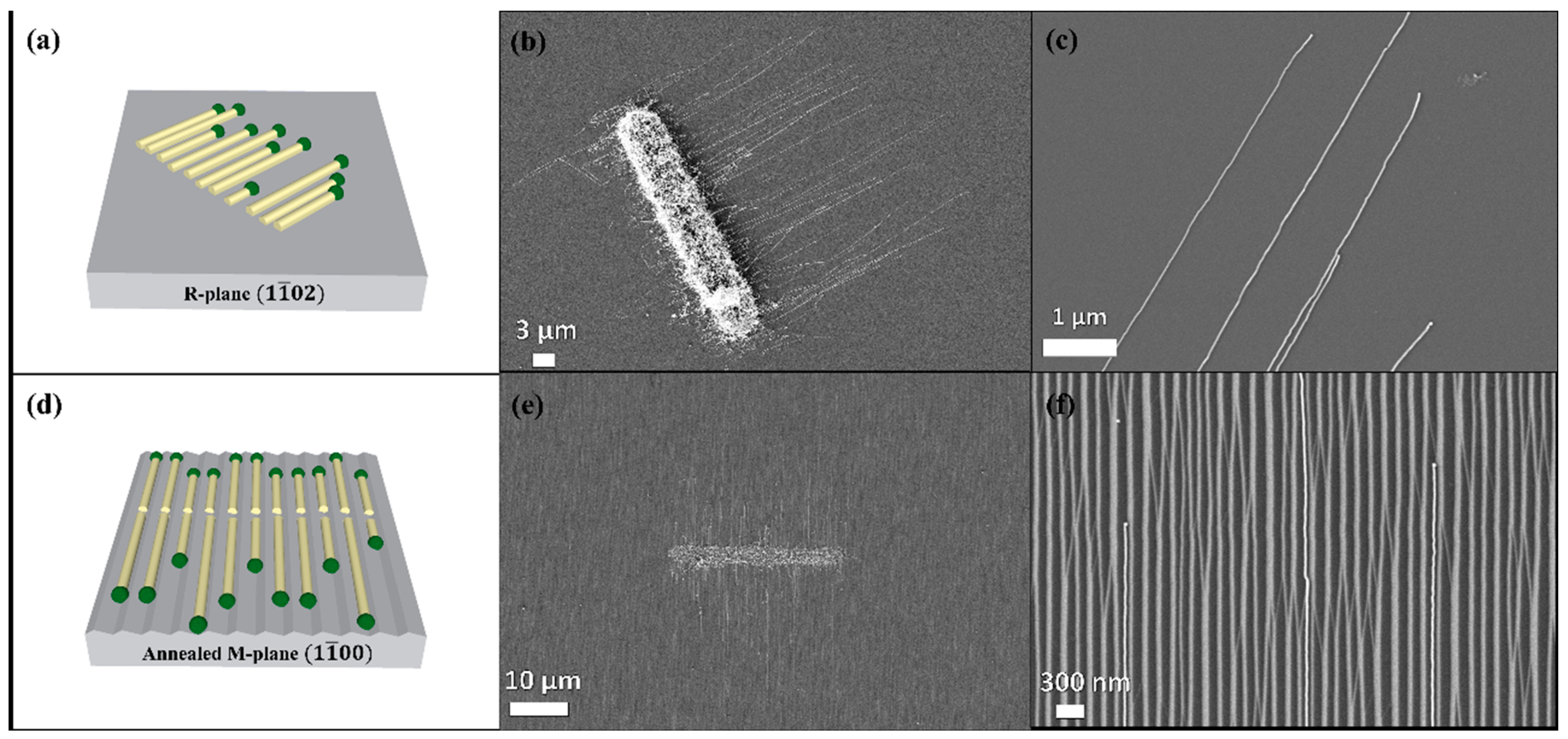 Nanomaterials 11 00624 g001 Nanomaterials 11 00624 g001