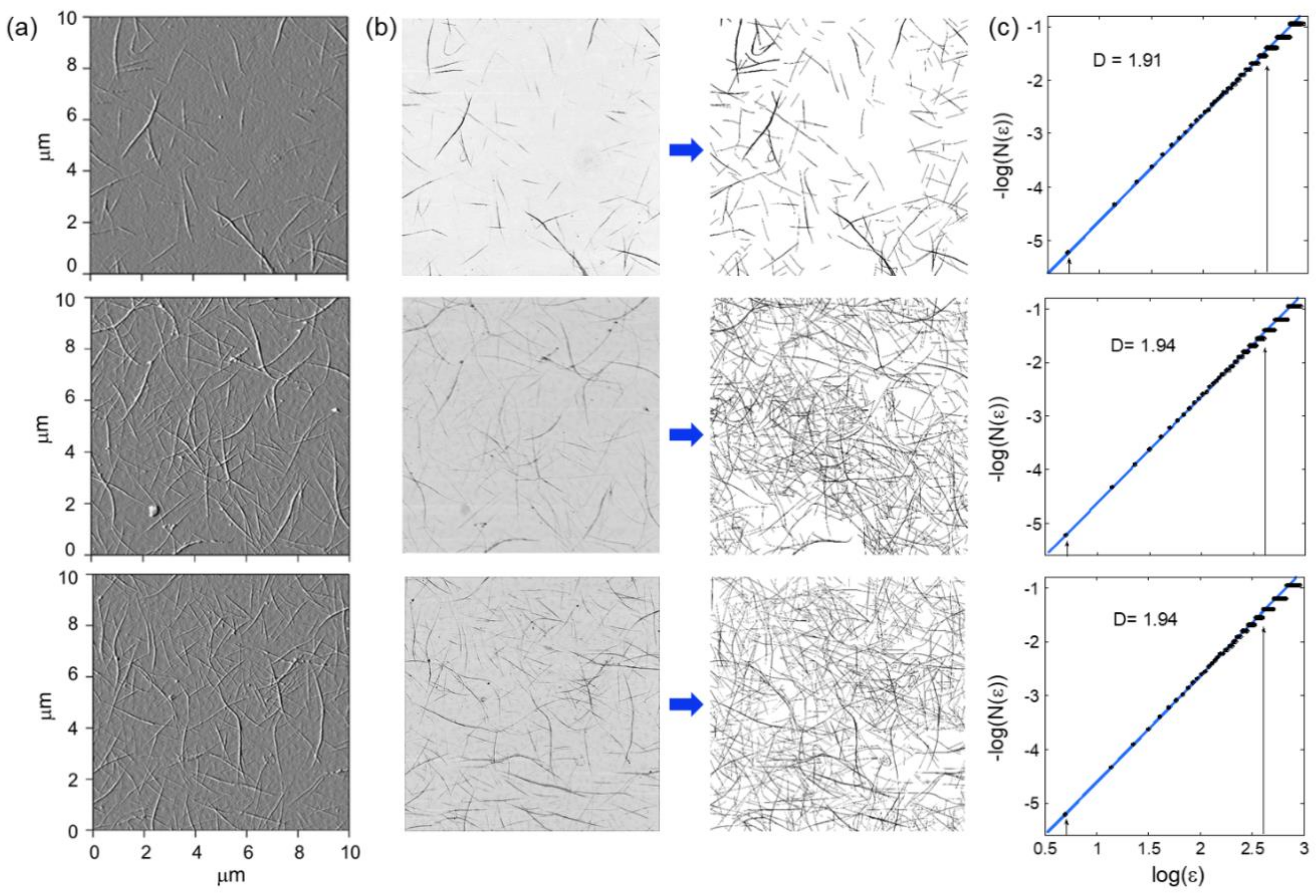 Nanomaterials 11 00636 g004 Nanomaterials 11 00636 g004
