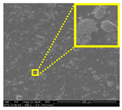 Nanomaterials 11 00637 i010
