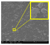 Nanomaterials 11 00637 i013