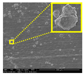 Nanomaterials 11 00637 i016