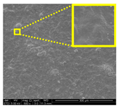 Nanomaterials 11 00637 i019