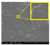 Nanomaterials 11 00637 i025