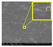Nanomaterials 11 00637 i028
