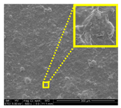 Nanomaterials 11 00637 i034