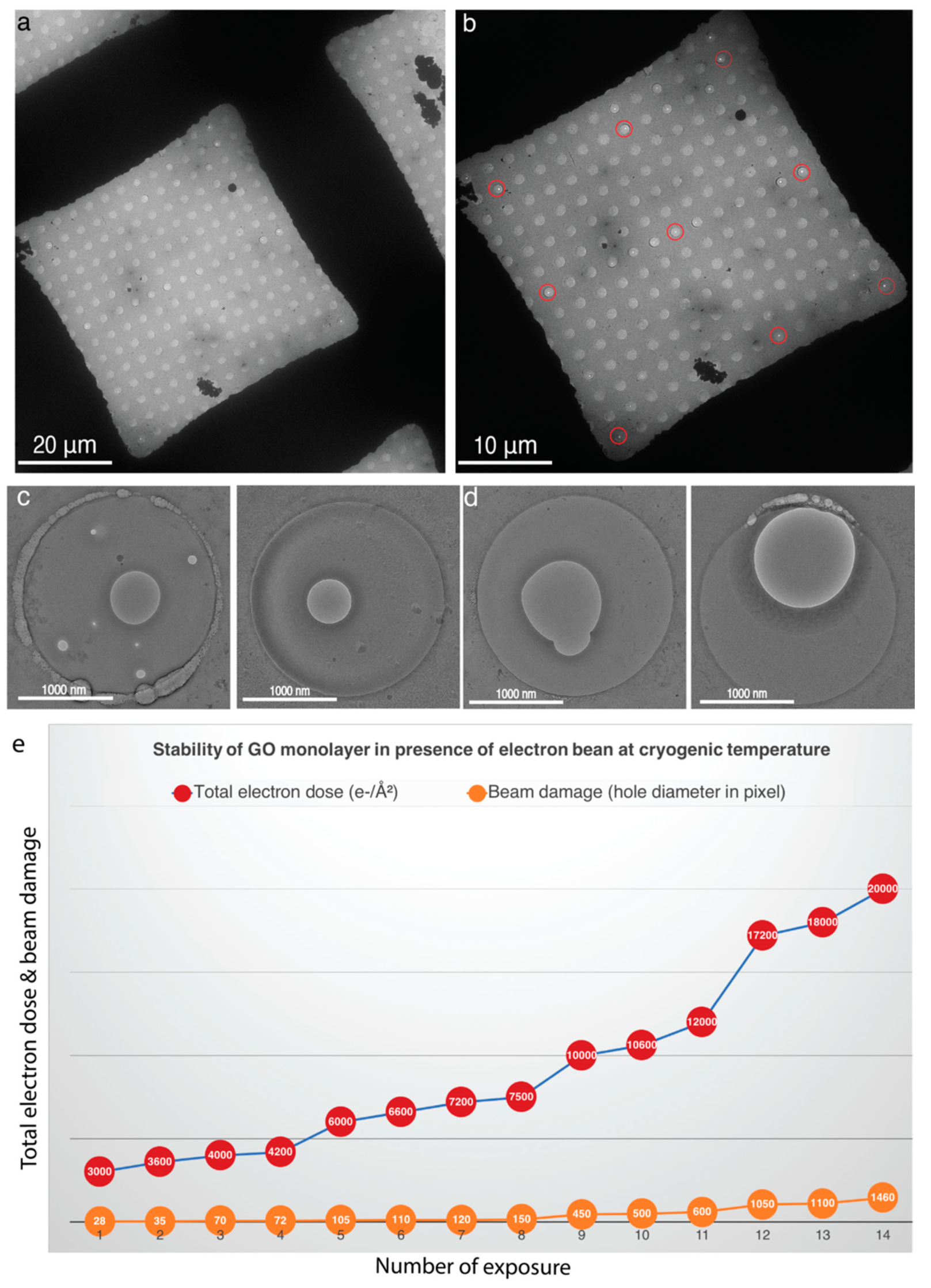 Nanomaterials 11 00643 g006