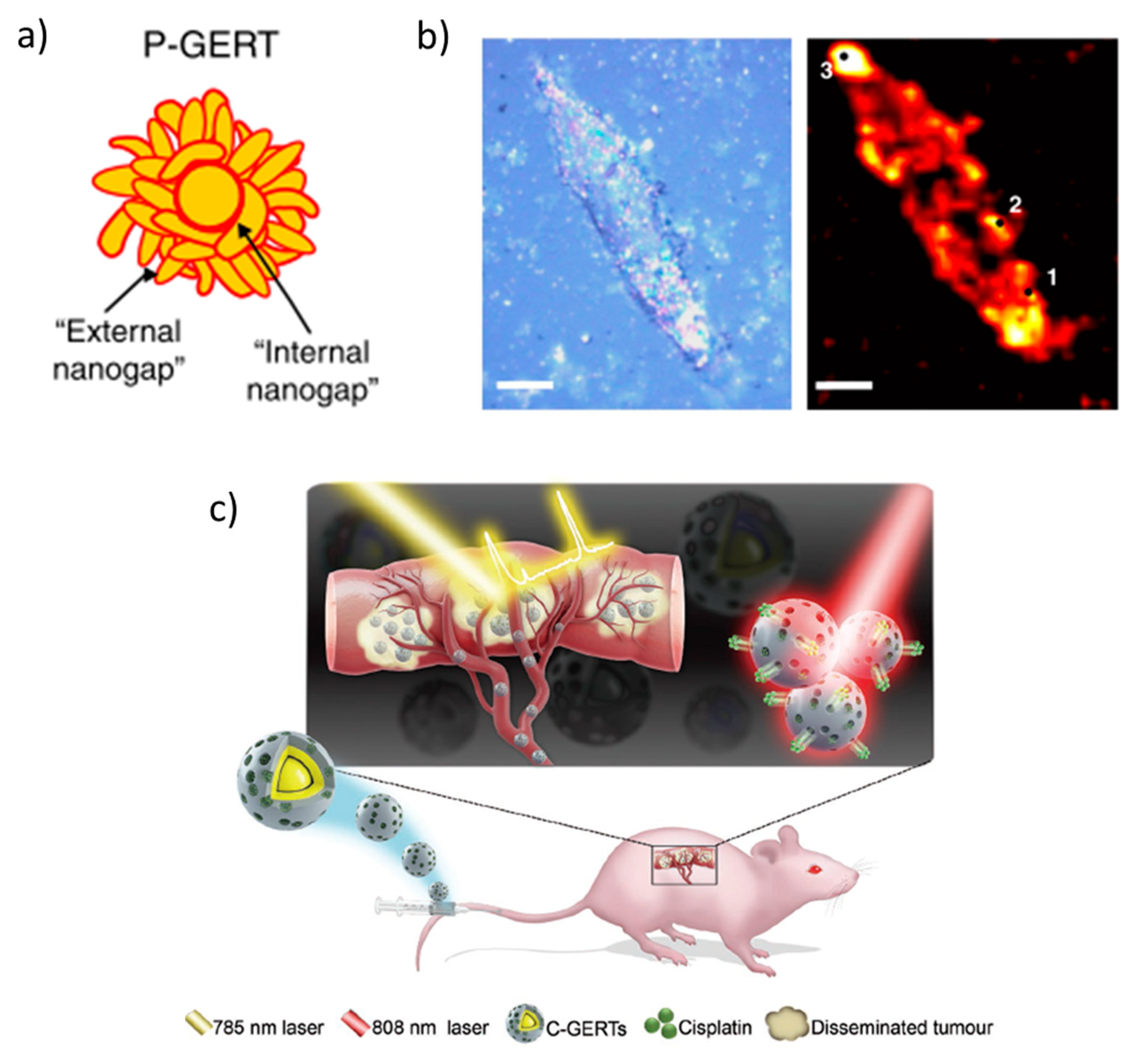 Nanomaterials 11 00644 g004