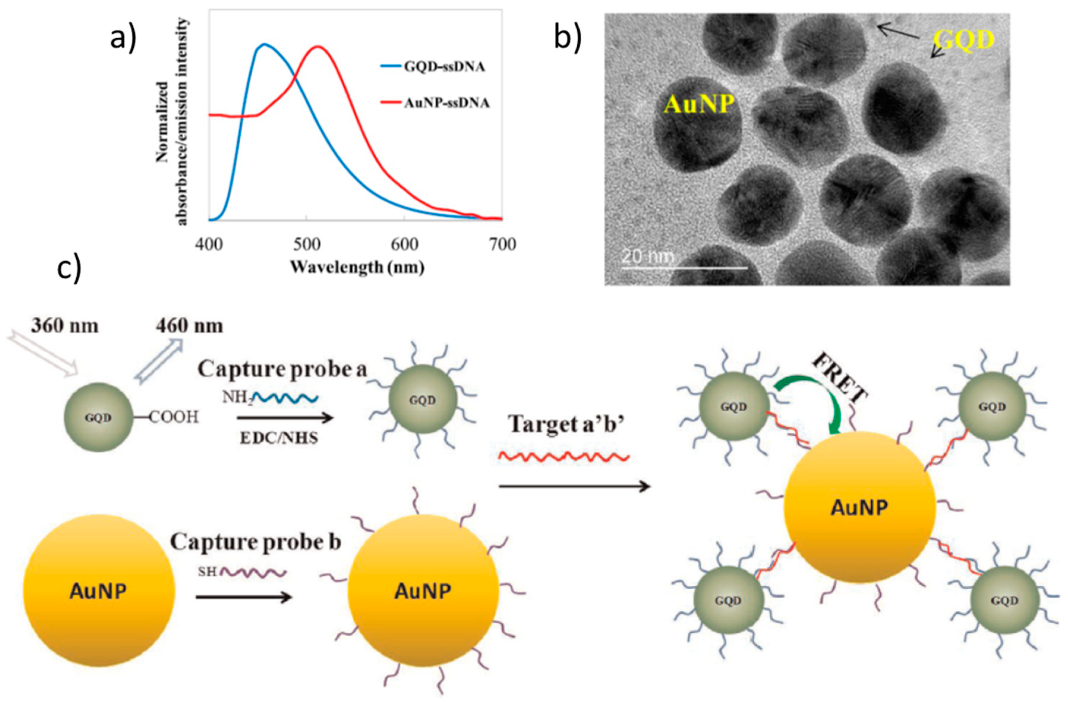 Nanomaterials 11 00644 g016