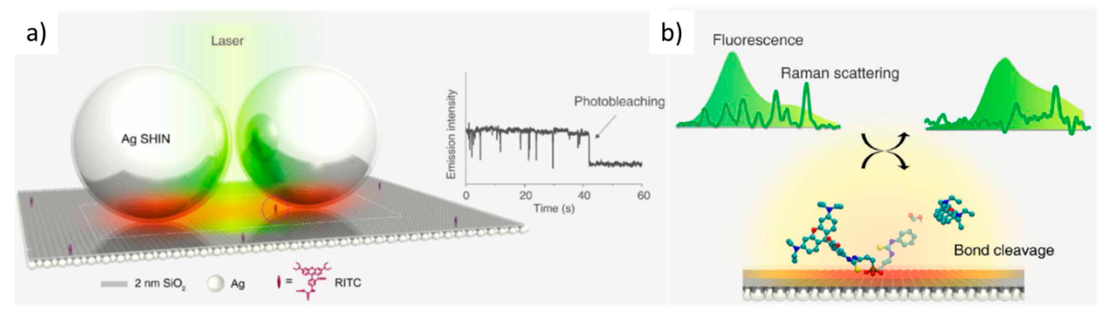 Nanomaterials 11 00644 g017