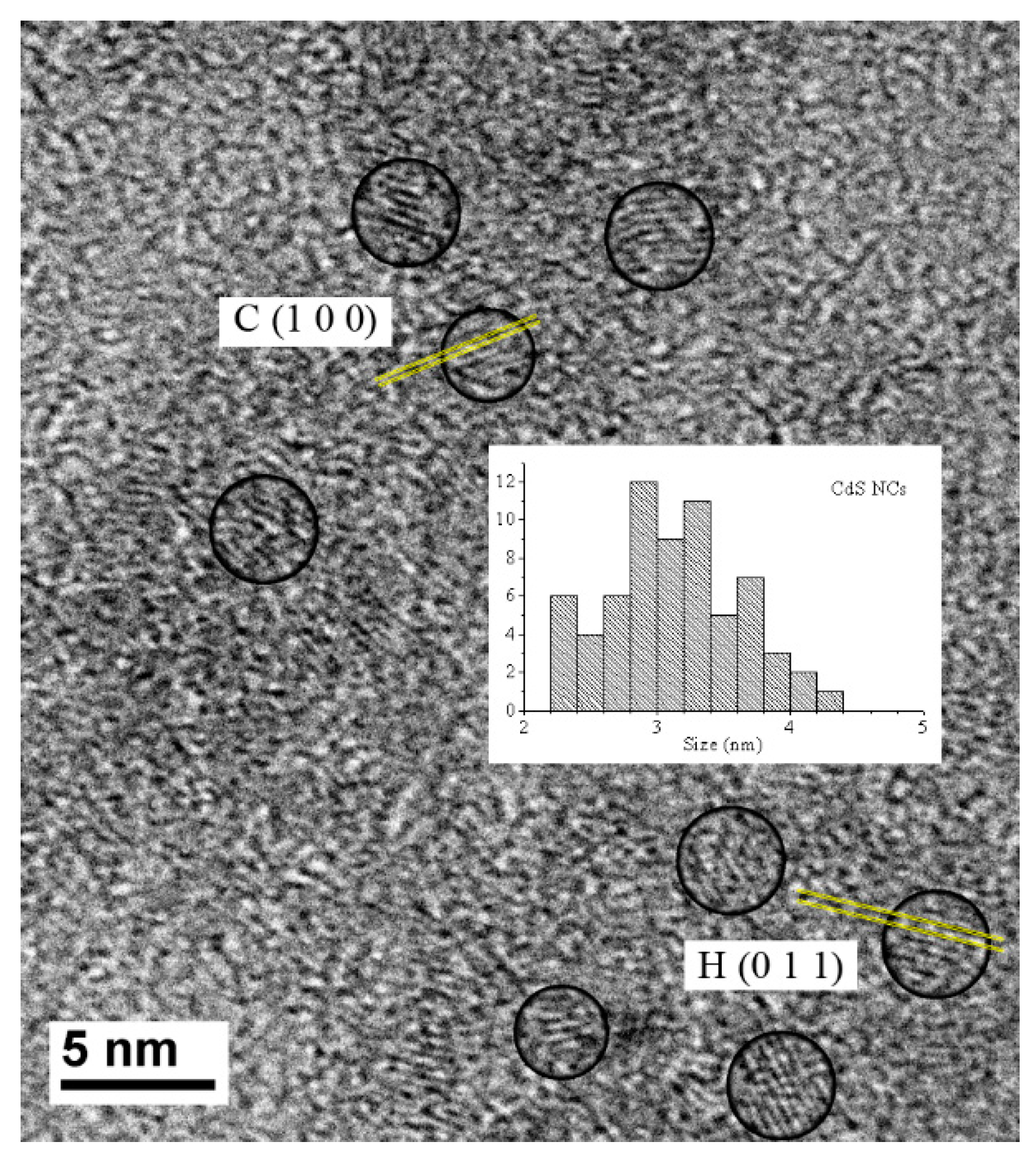 Nanomaterials 11 00645 g002