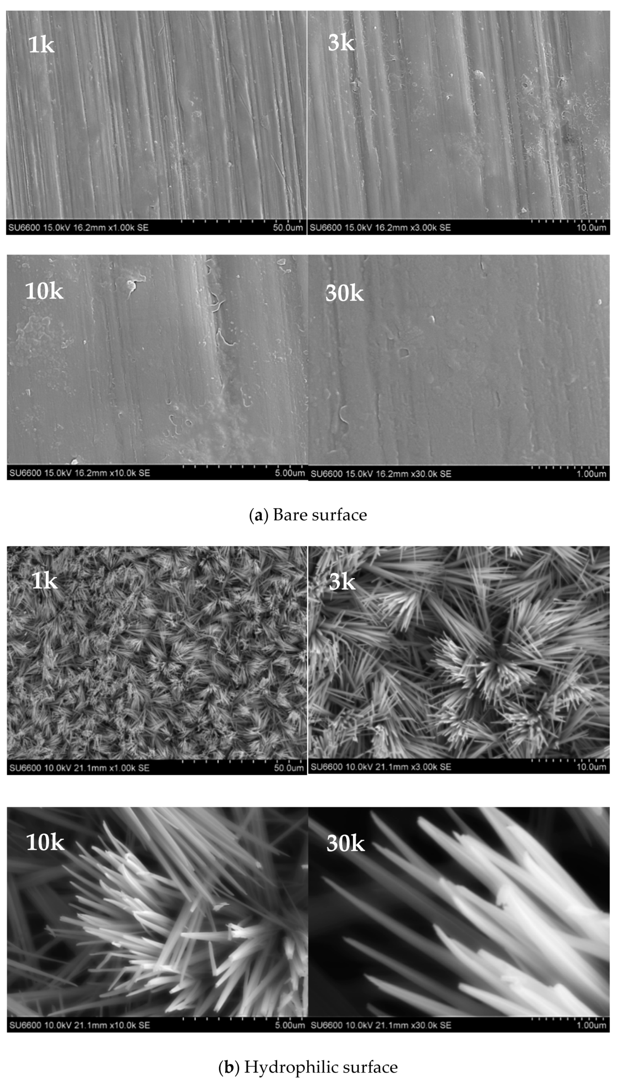 Nanomaterials 11 00647 g004