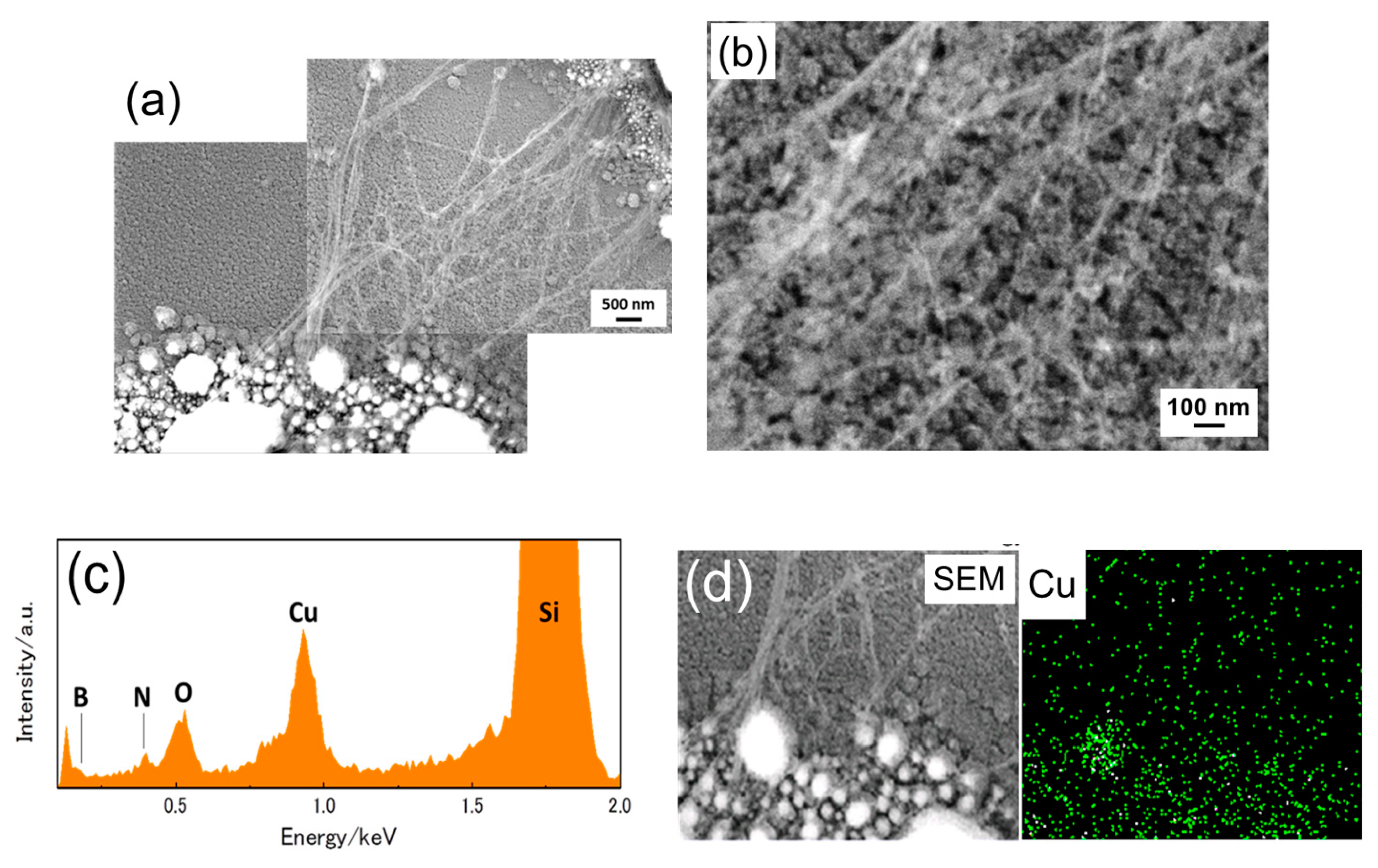 Nanomaterials 11 00651 g003