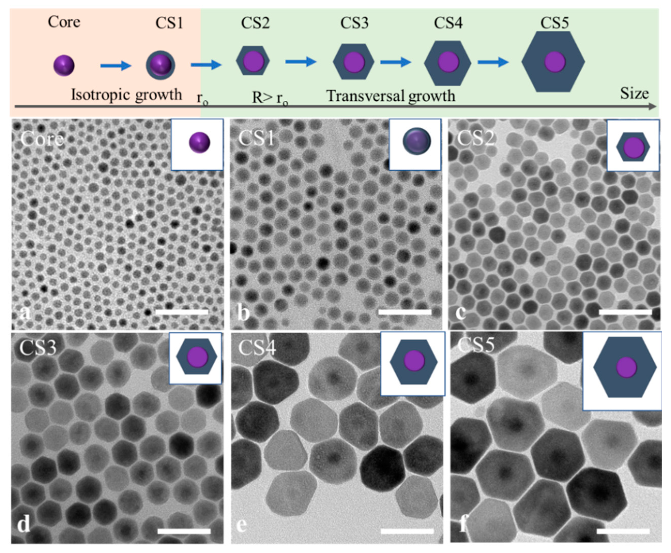 Nanomaterials 11 00654 g003 Nanomaterials 11 00654 g003