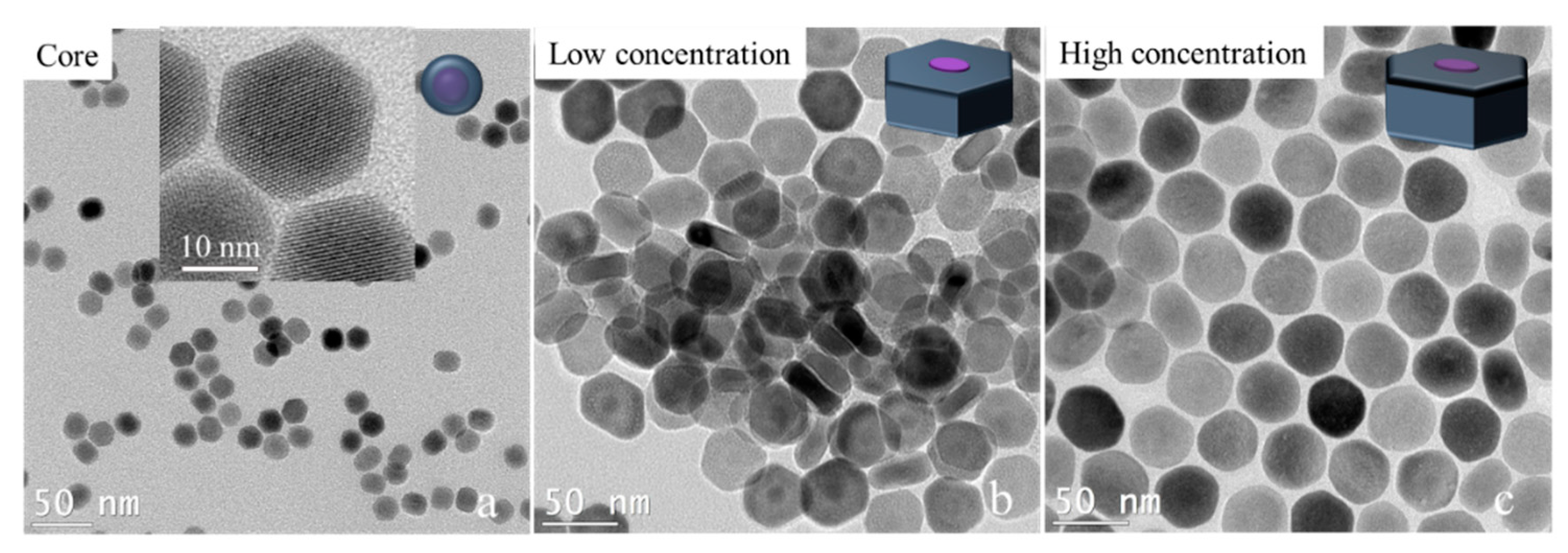 Nanomaterials 11 00654 g004 Nanomaterials 11 00654 g004