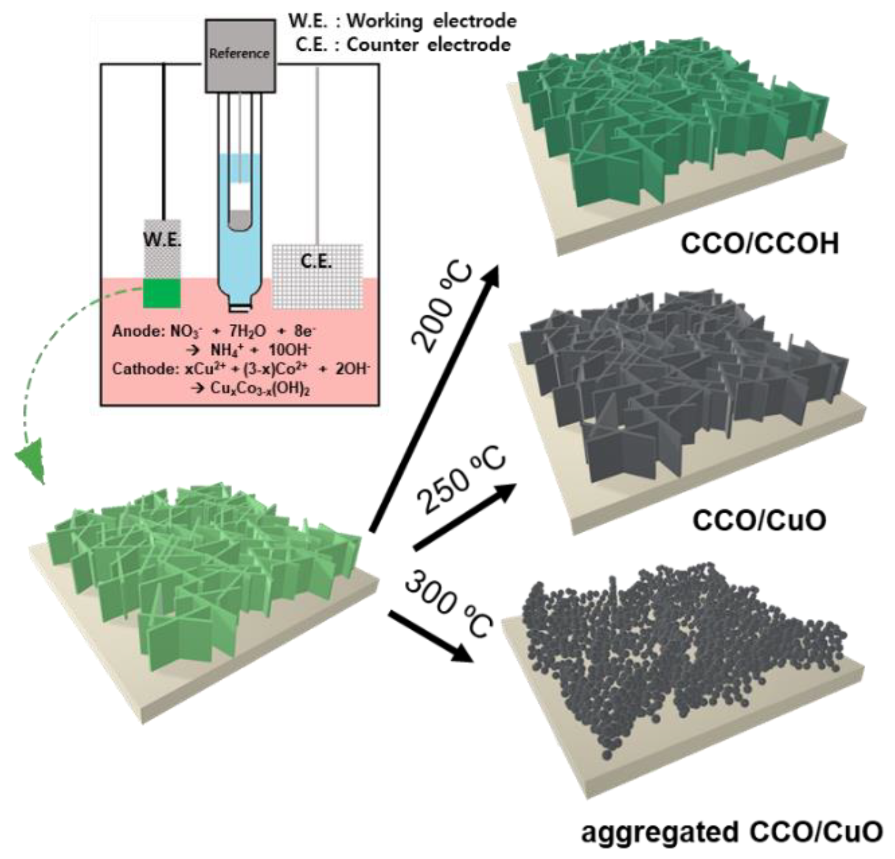 Nanomaterials 11 00657 g001