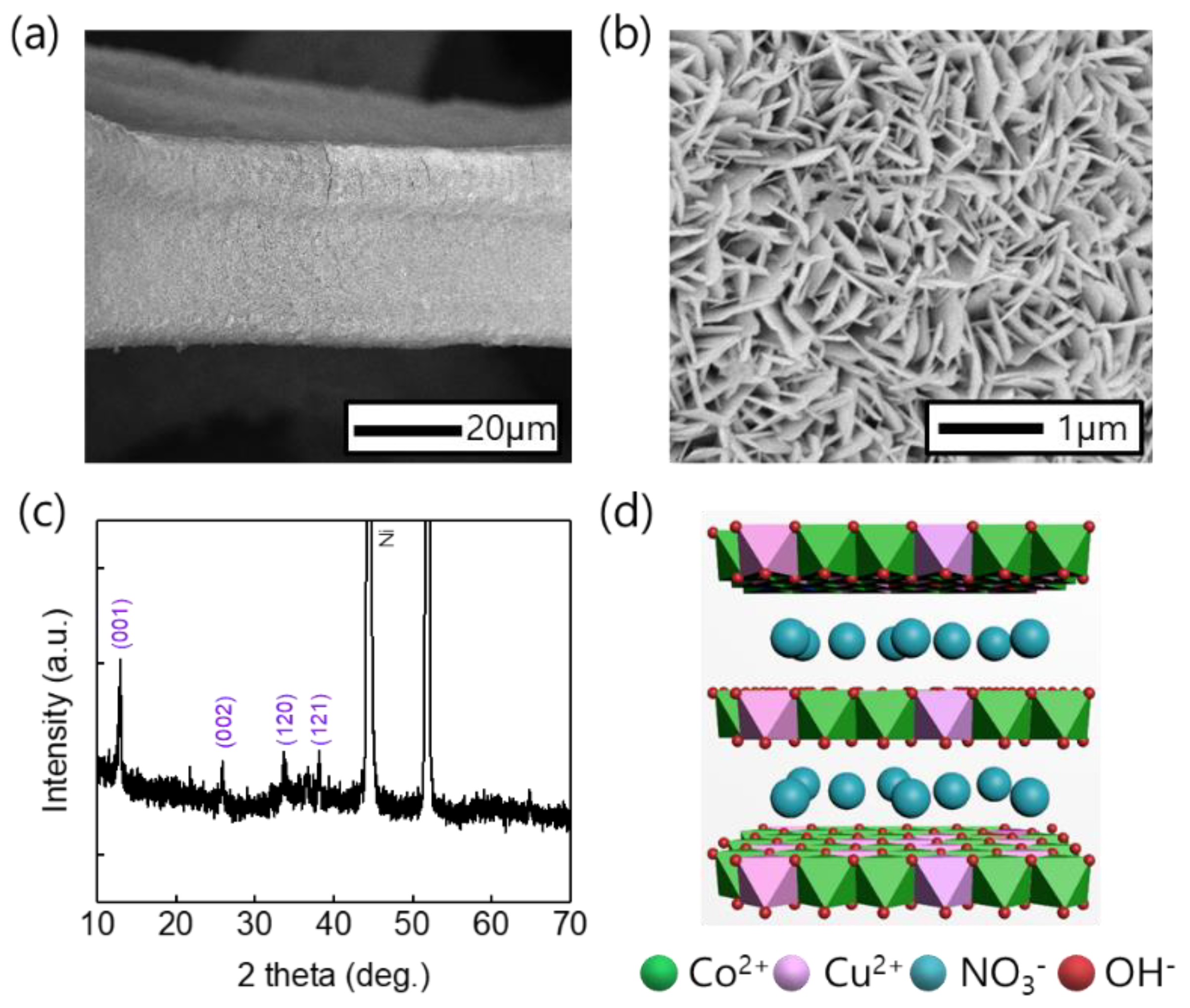 Nanomaterials 11 00657 g002