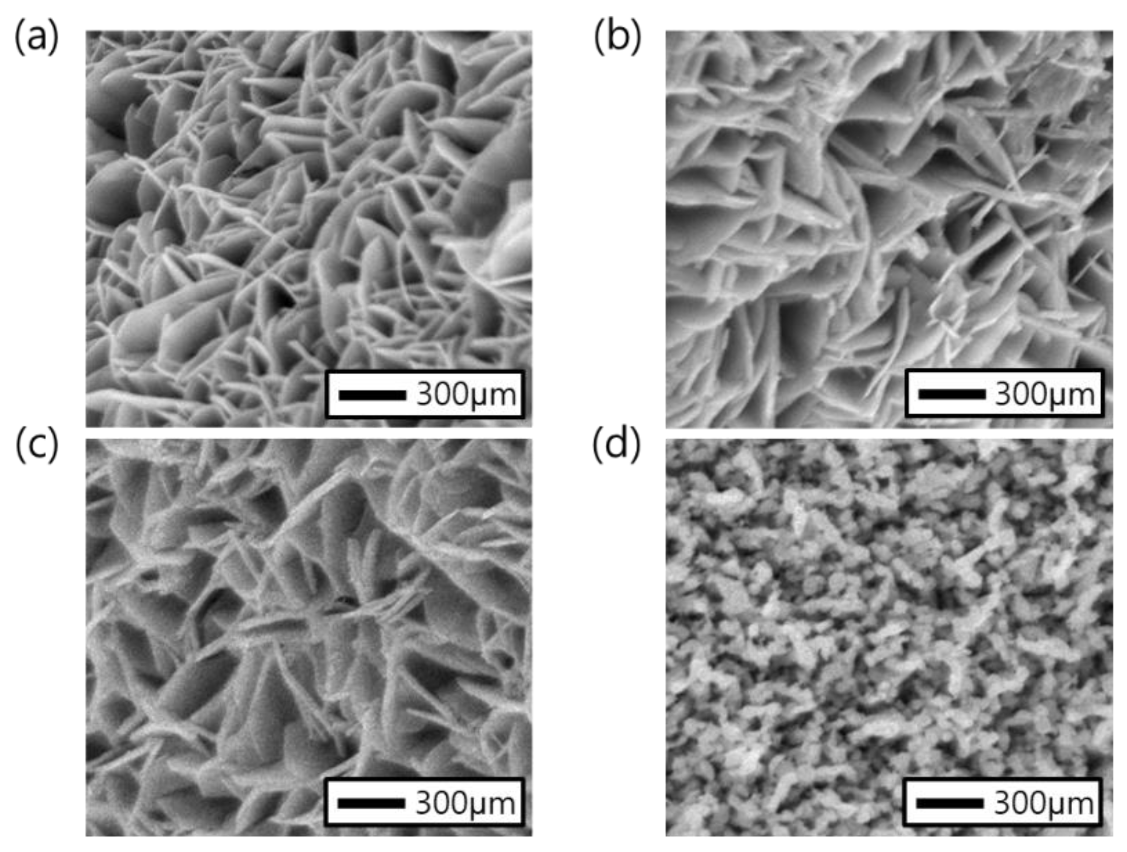 Nanomaterials 11 00657 g003