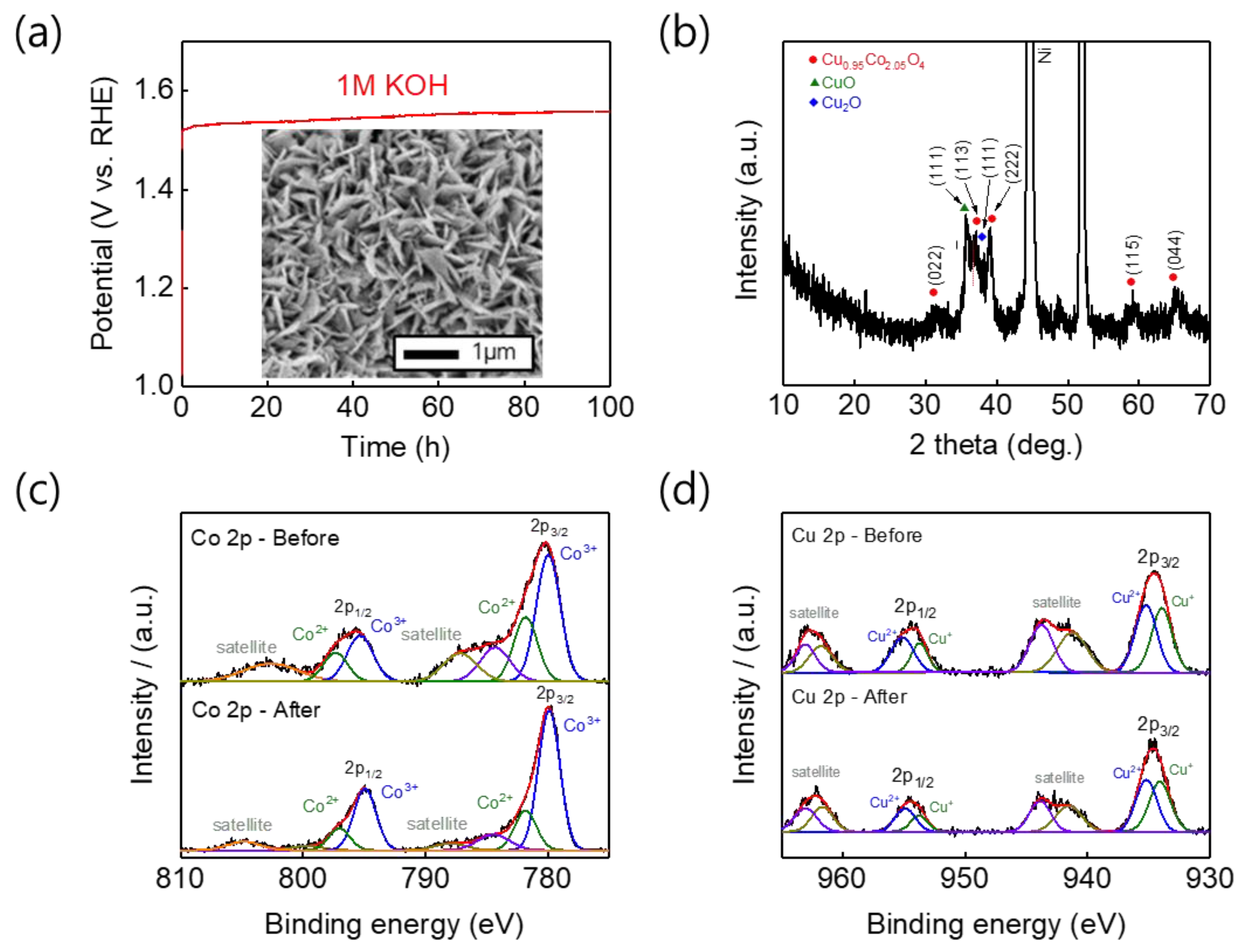Nanomaterials 11 00657 g007