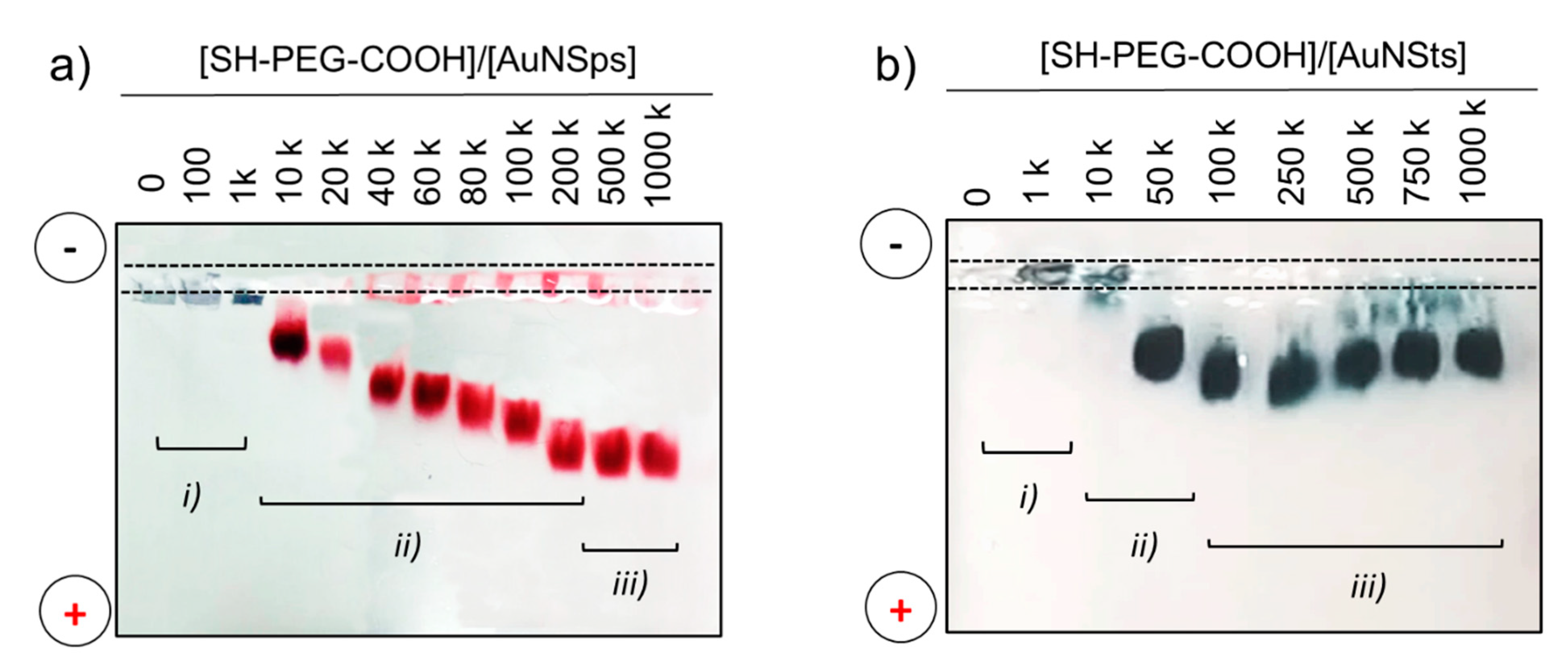 Nanomaterials 11 00665 g002 Nanomaterials 11 00665 g002
