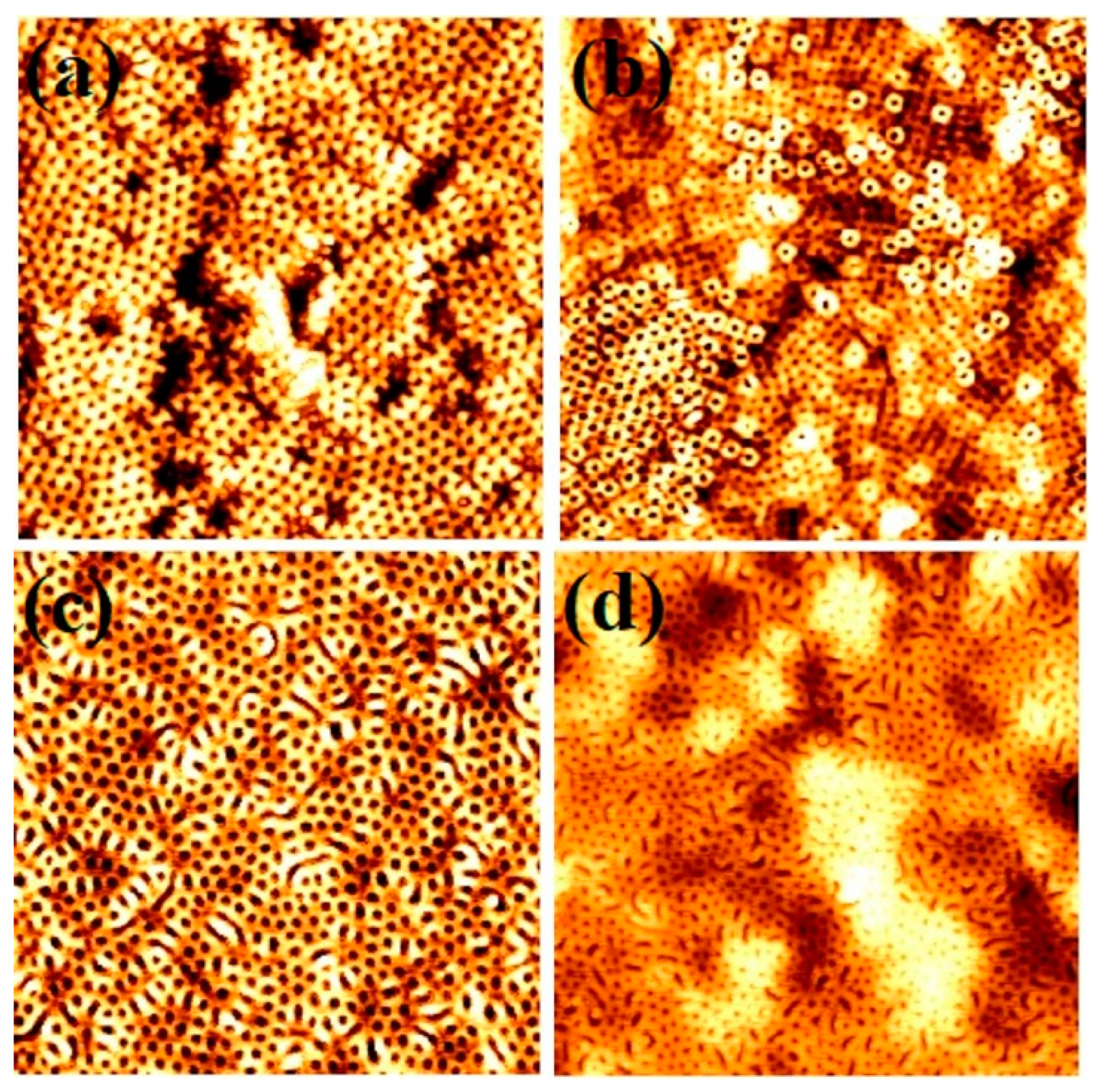 Nanomaterials 11 00669 g003 Nanomaterials 11 00669 g003