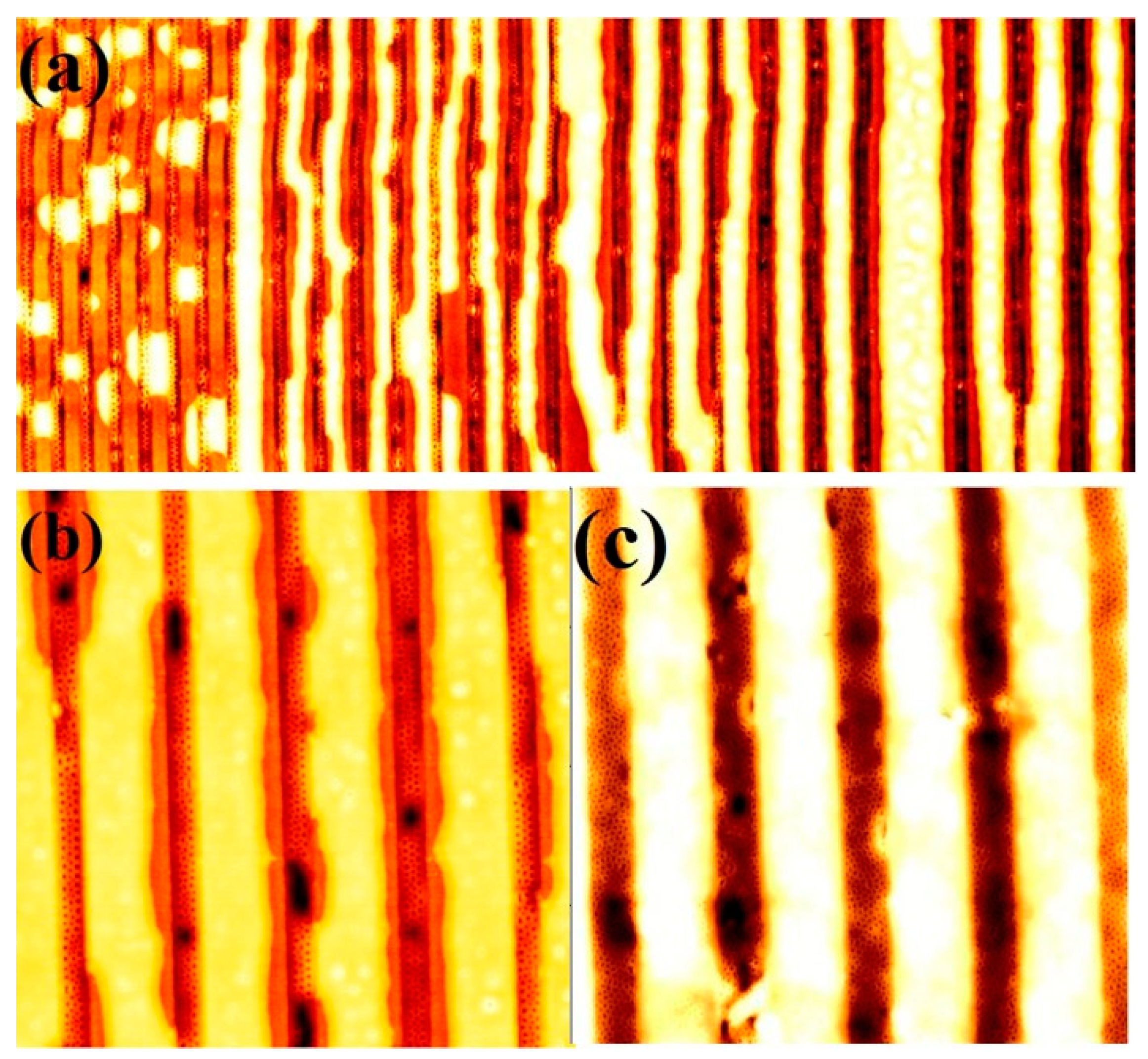 Nanomaterials 11 00669 g006 Nanomaterials 11 00669 g006