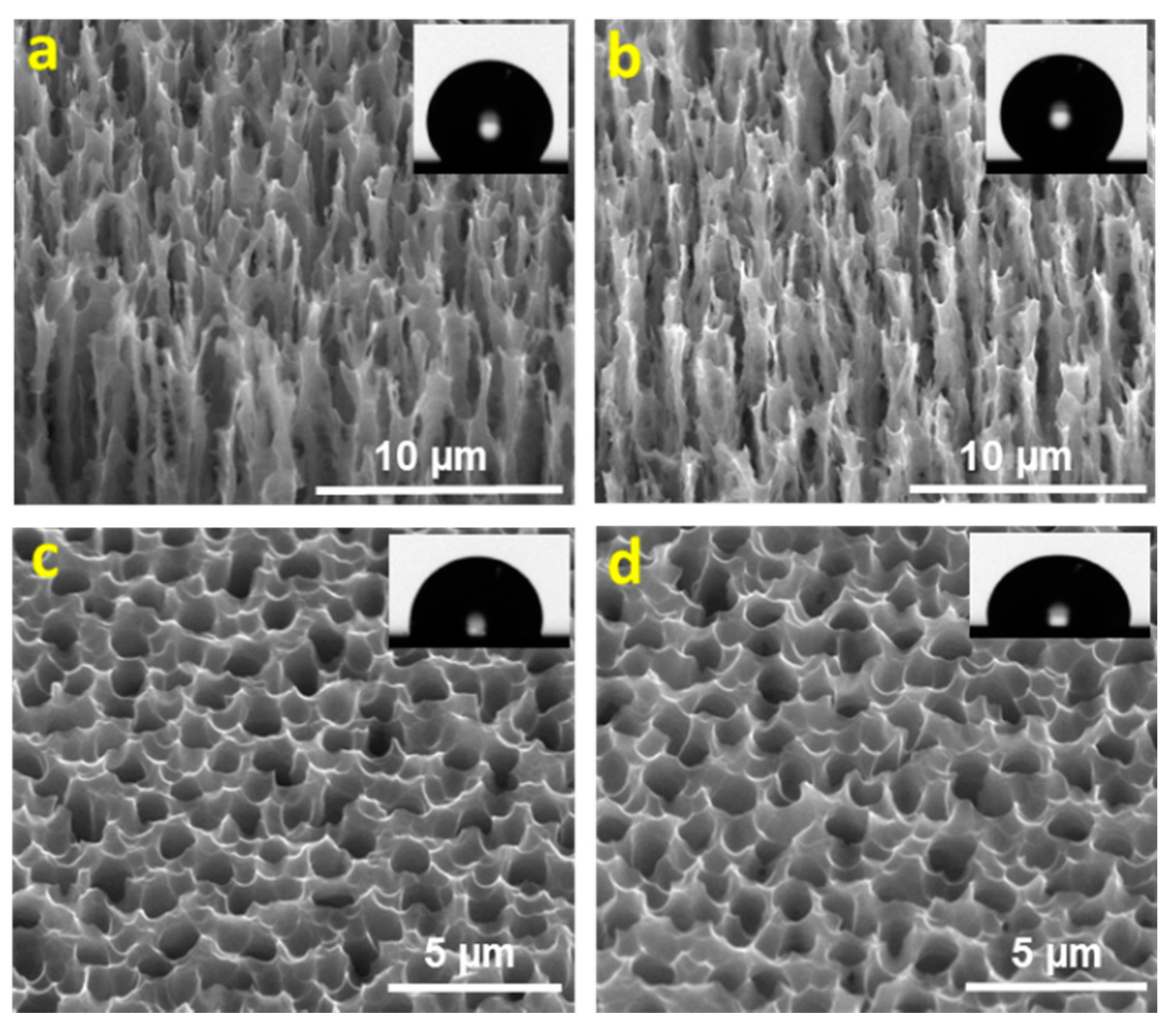 Nanomaterials 11 00670 g003