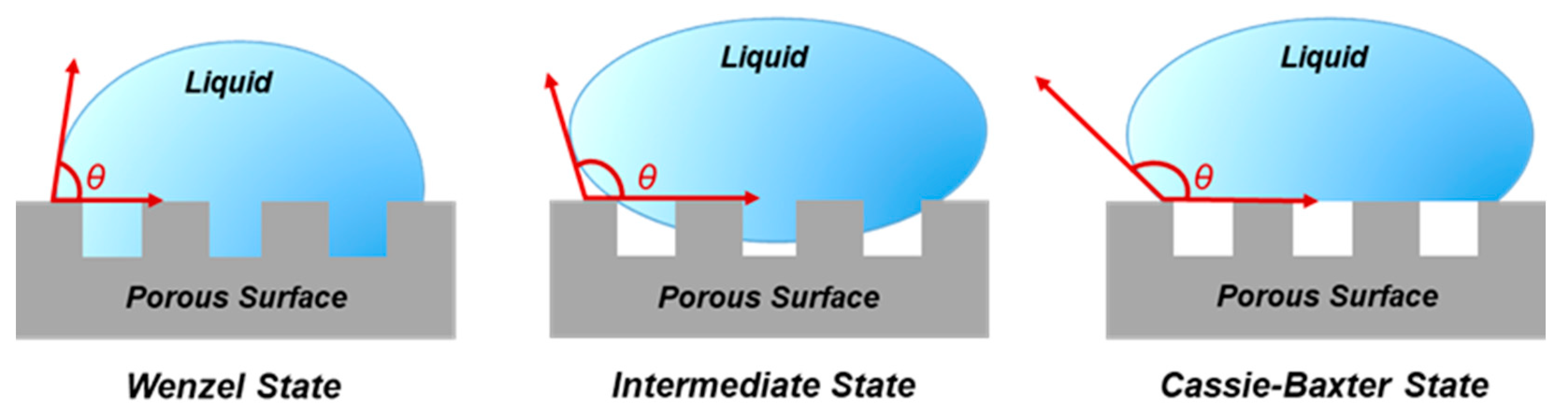 Nanomaterials 11 00670 g006