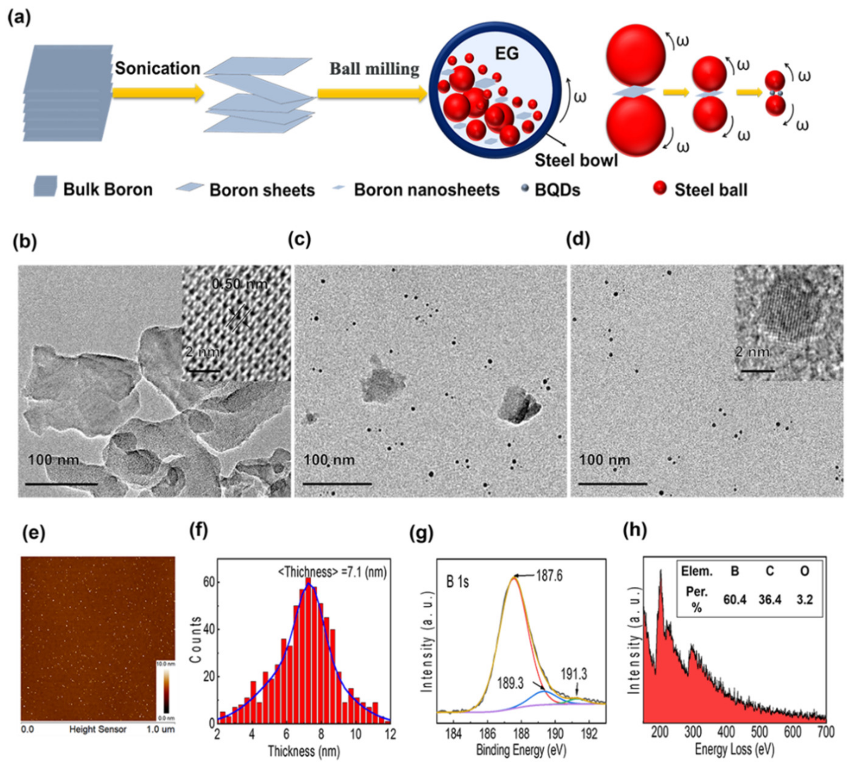 Nanomaterials 11 00687 g001