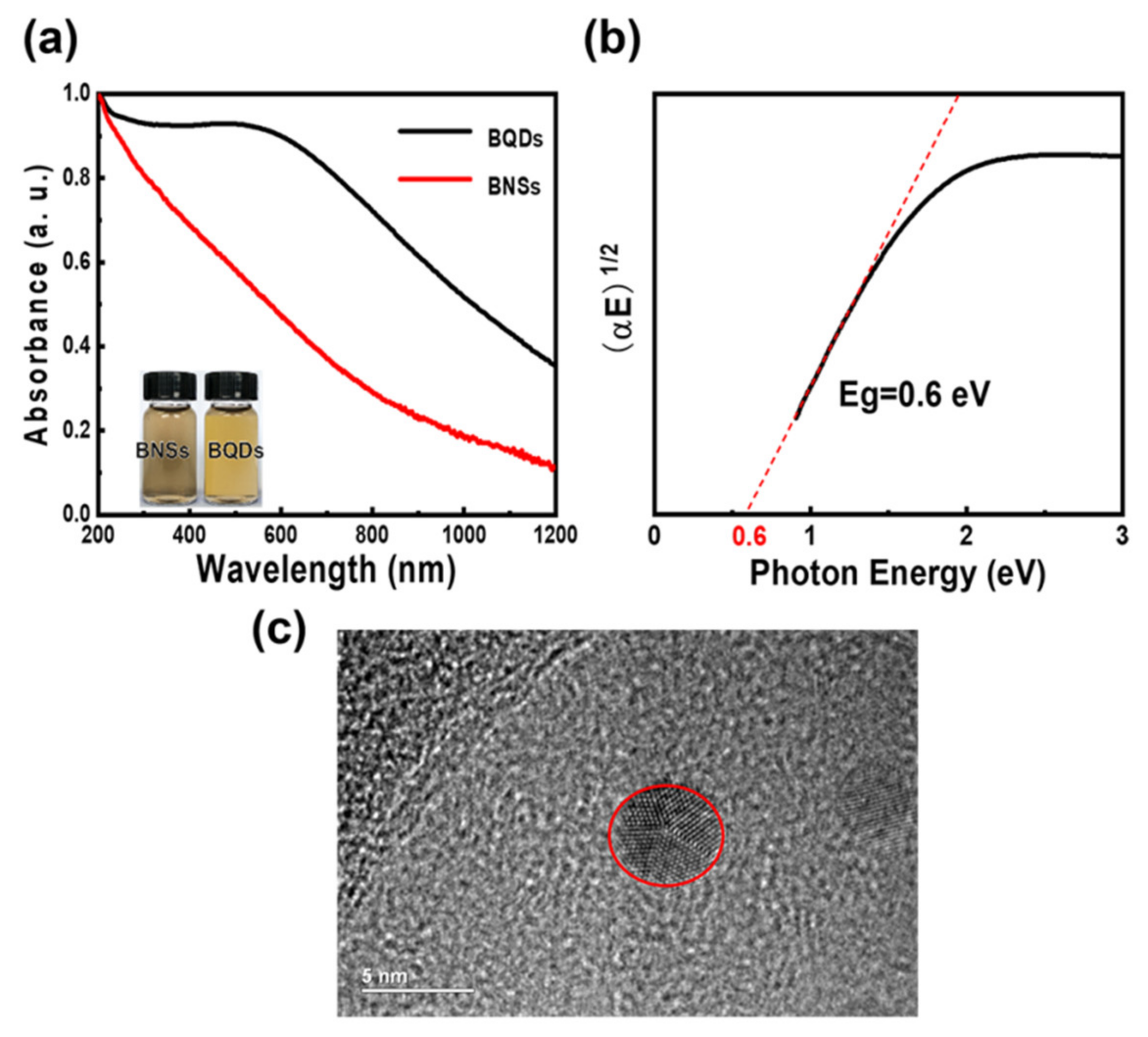 Nanomaterials 11 00687 g002