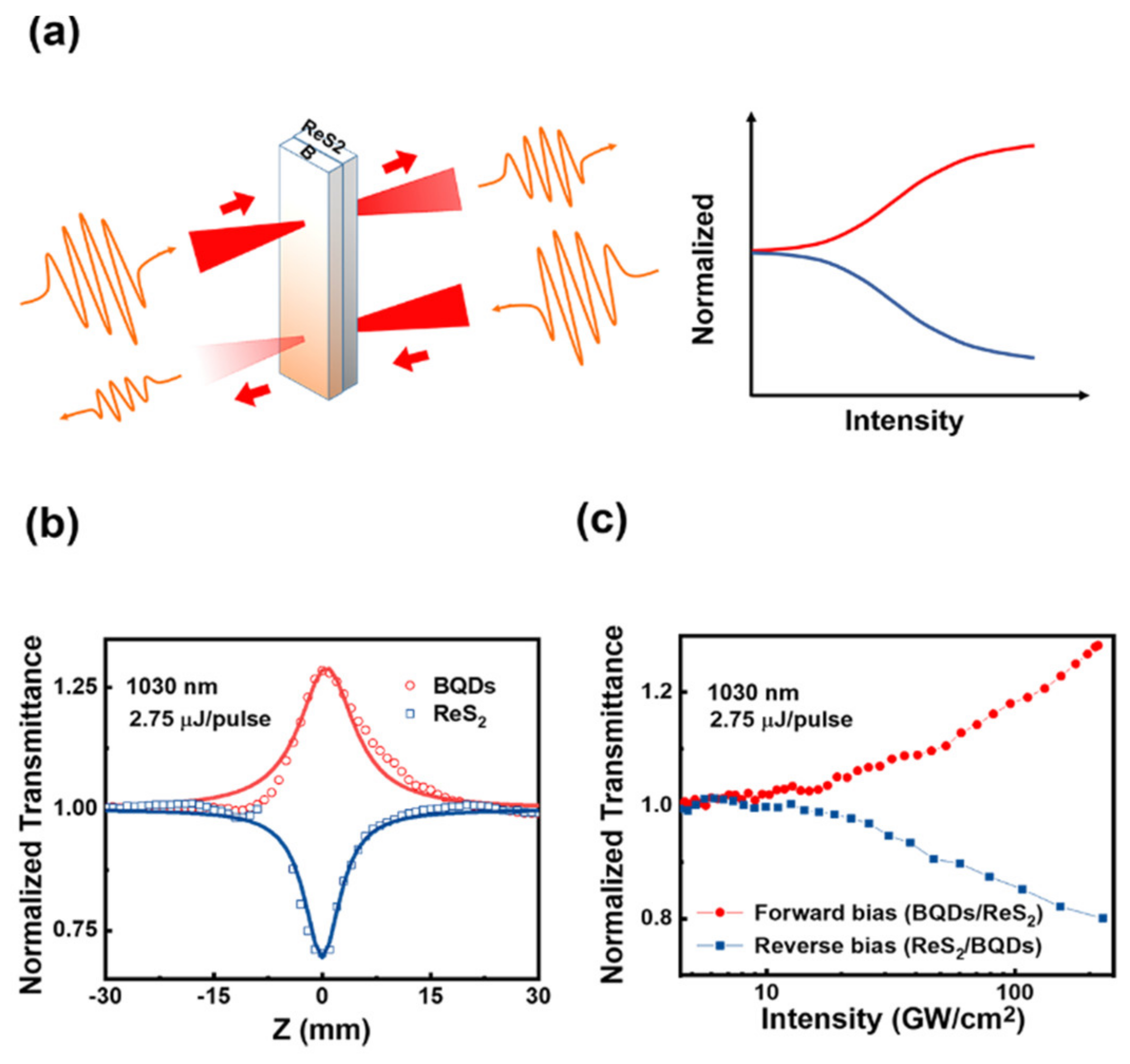 Nanomaterials 11 00687 g005
