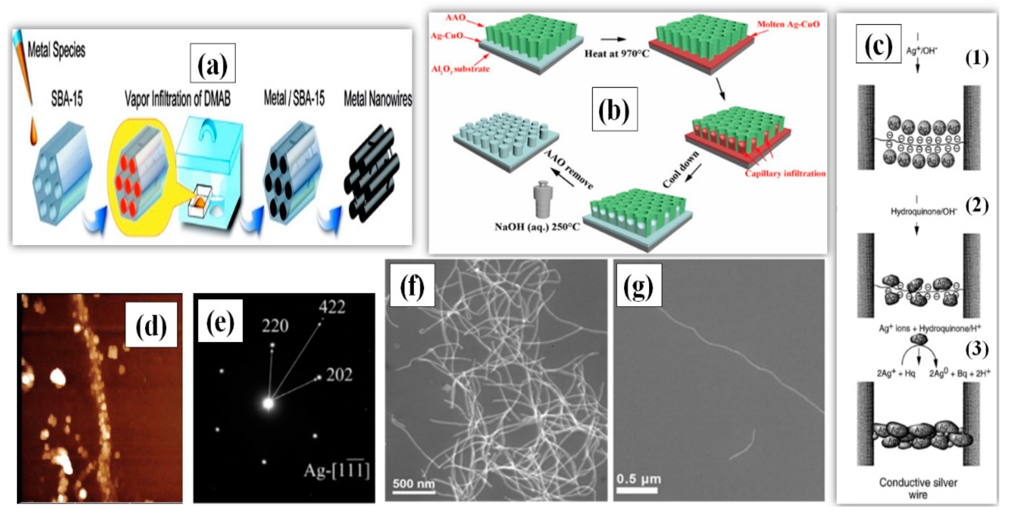 Nanomaterials 11 00693 g002