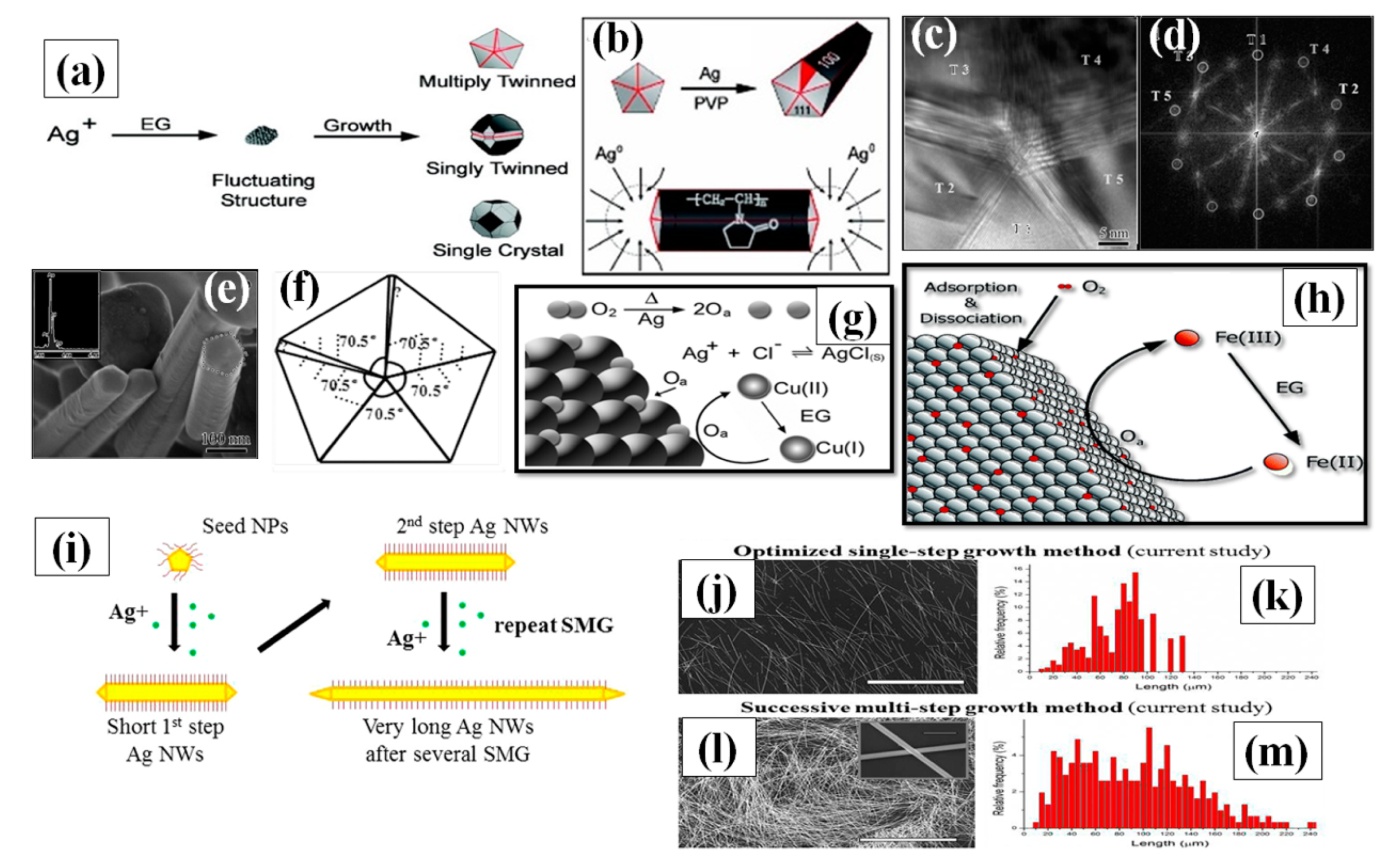 Nanomaterials 11 00693 g005